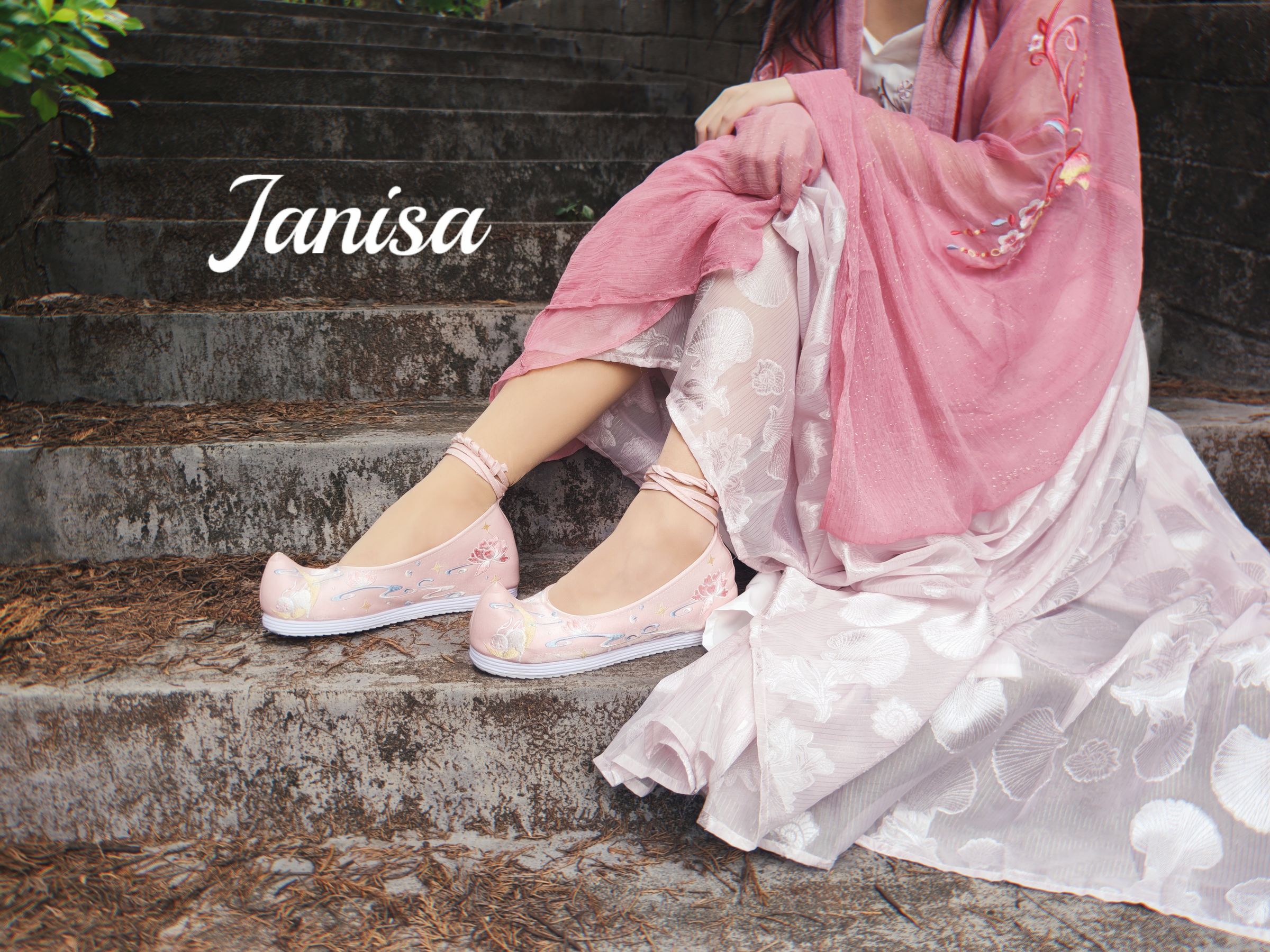 Janisa - 云想衣裳/(20P)