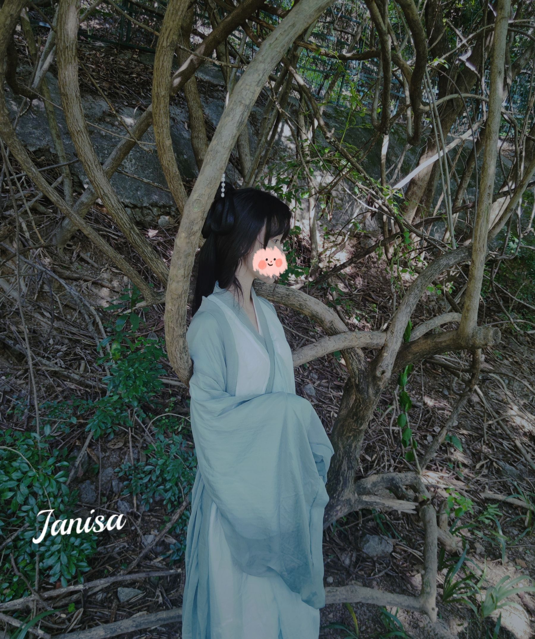 Janisa - 一曲广陵散/(30P)