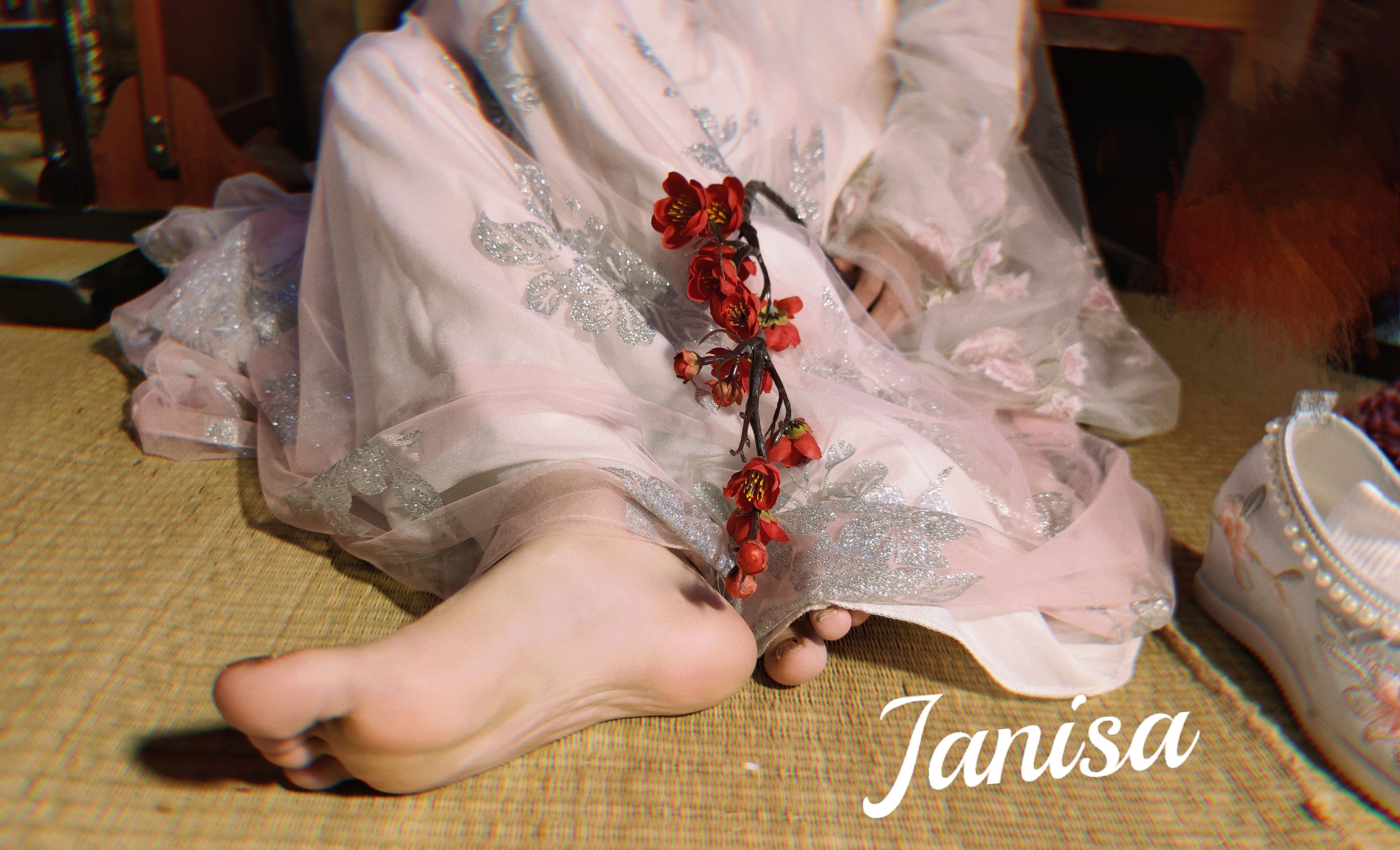 Janisa - 朝花向晚/(23P)