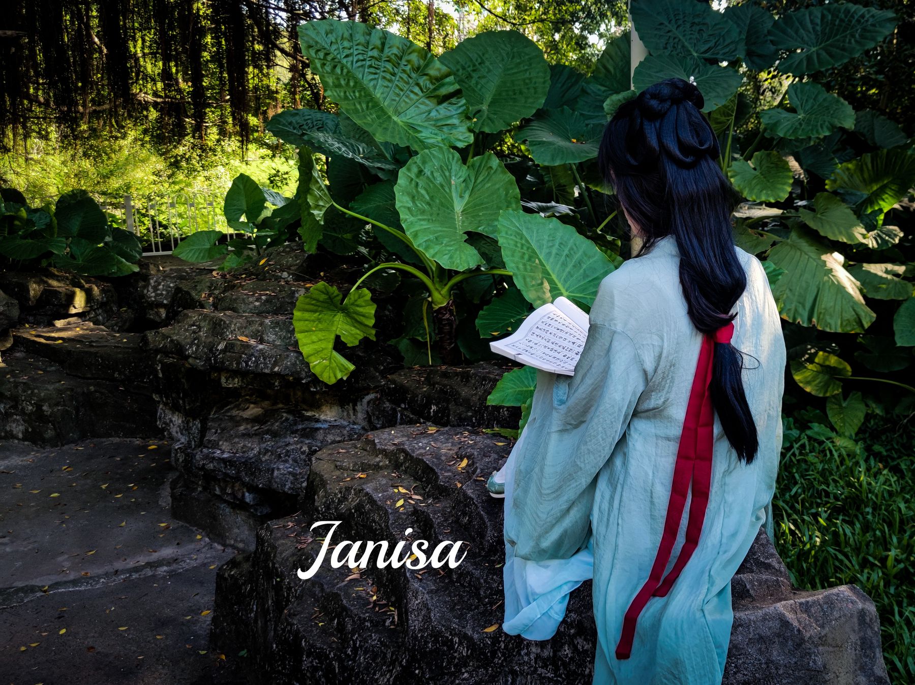 Janisa - 一曲广陵散/(30P)