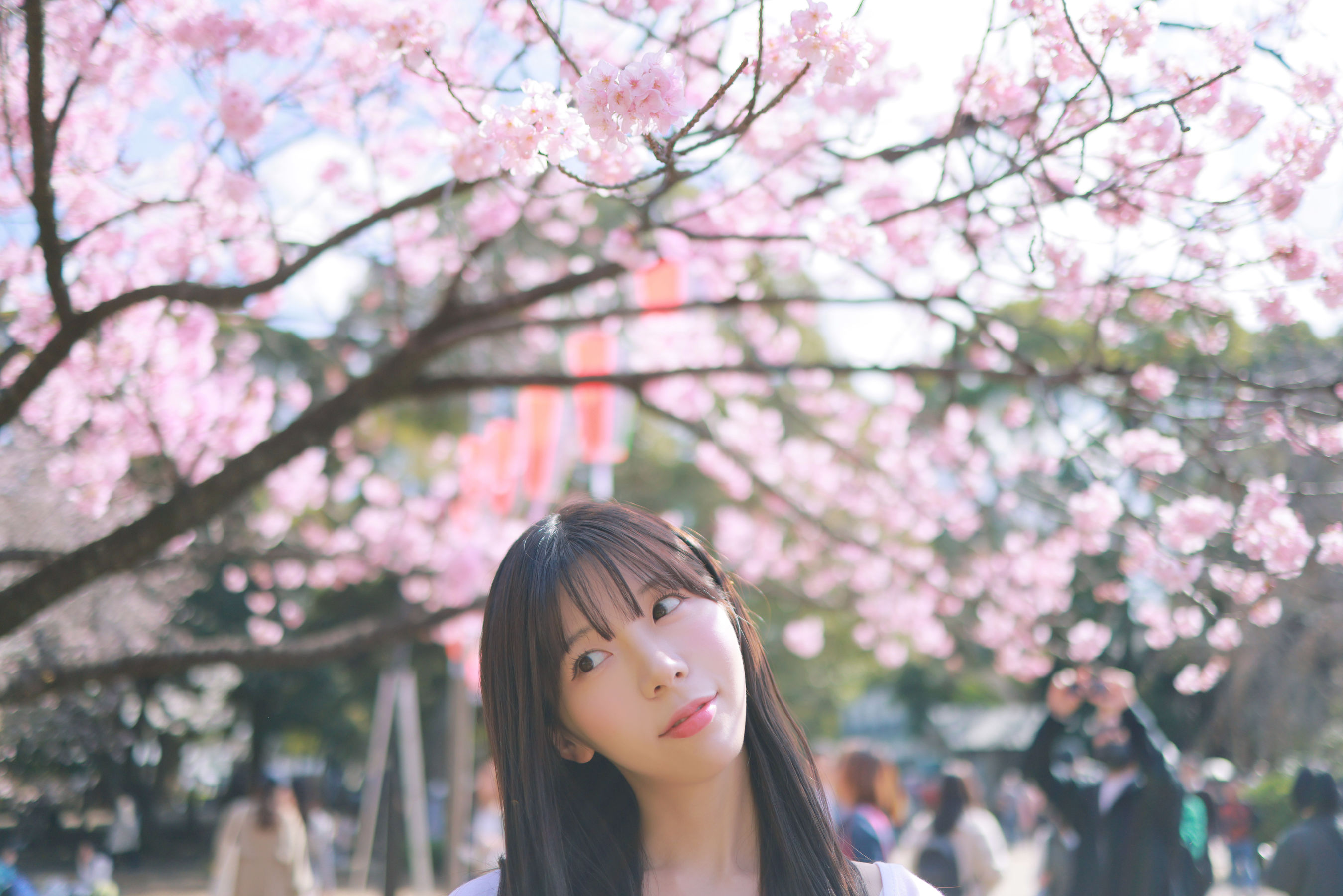 [PATREON] Sovely - Sakura Vol.3/(40P)