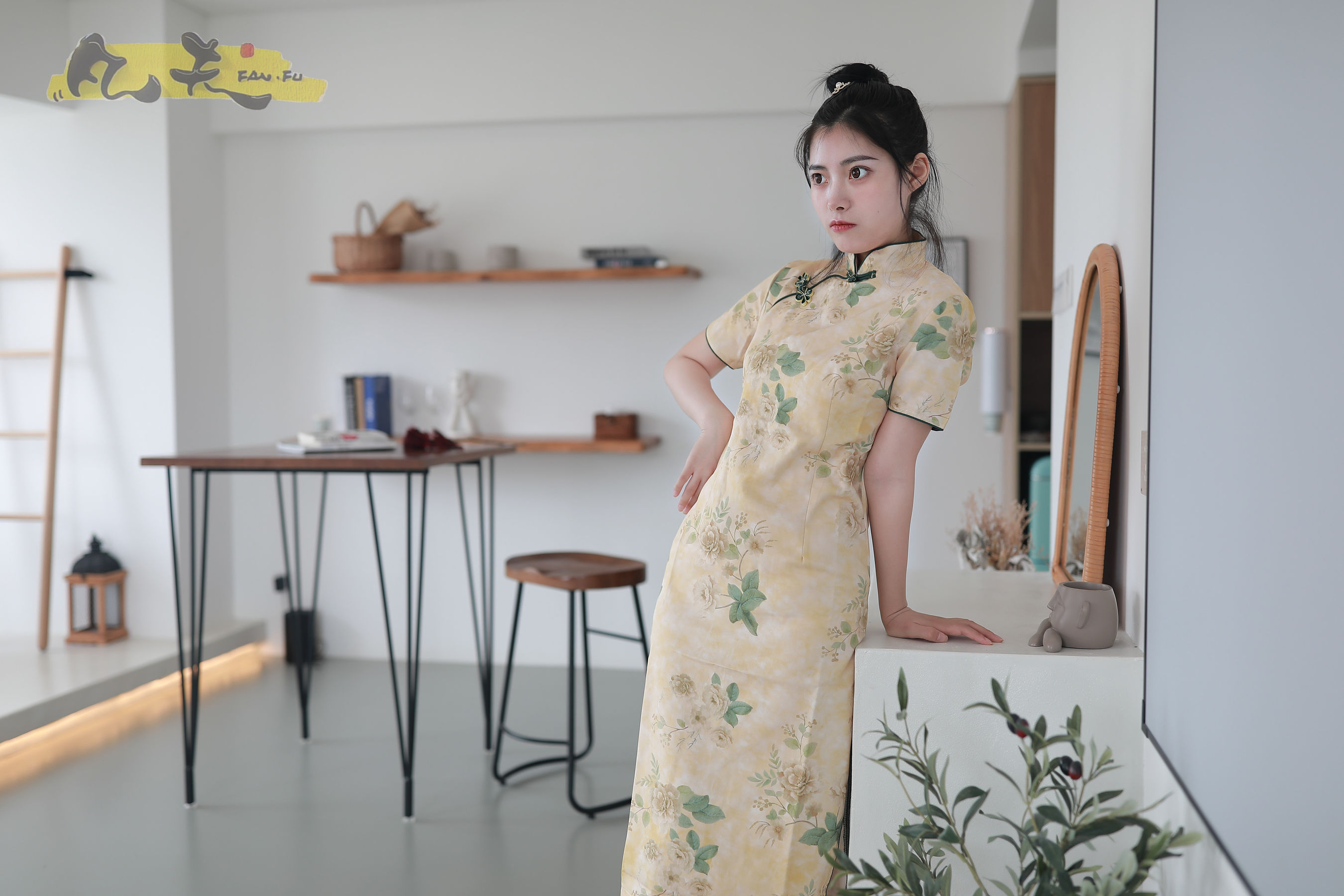 凡夫摄影 - 静丽 青灯古曲/(264P)