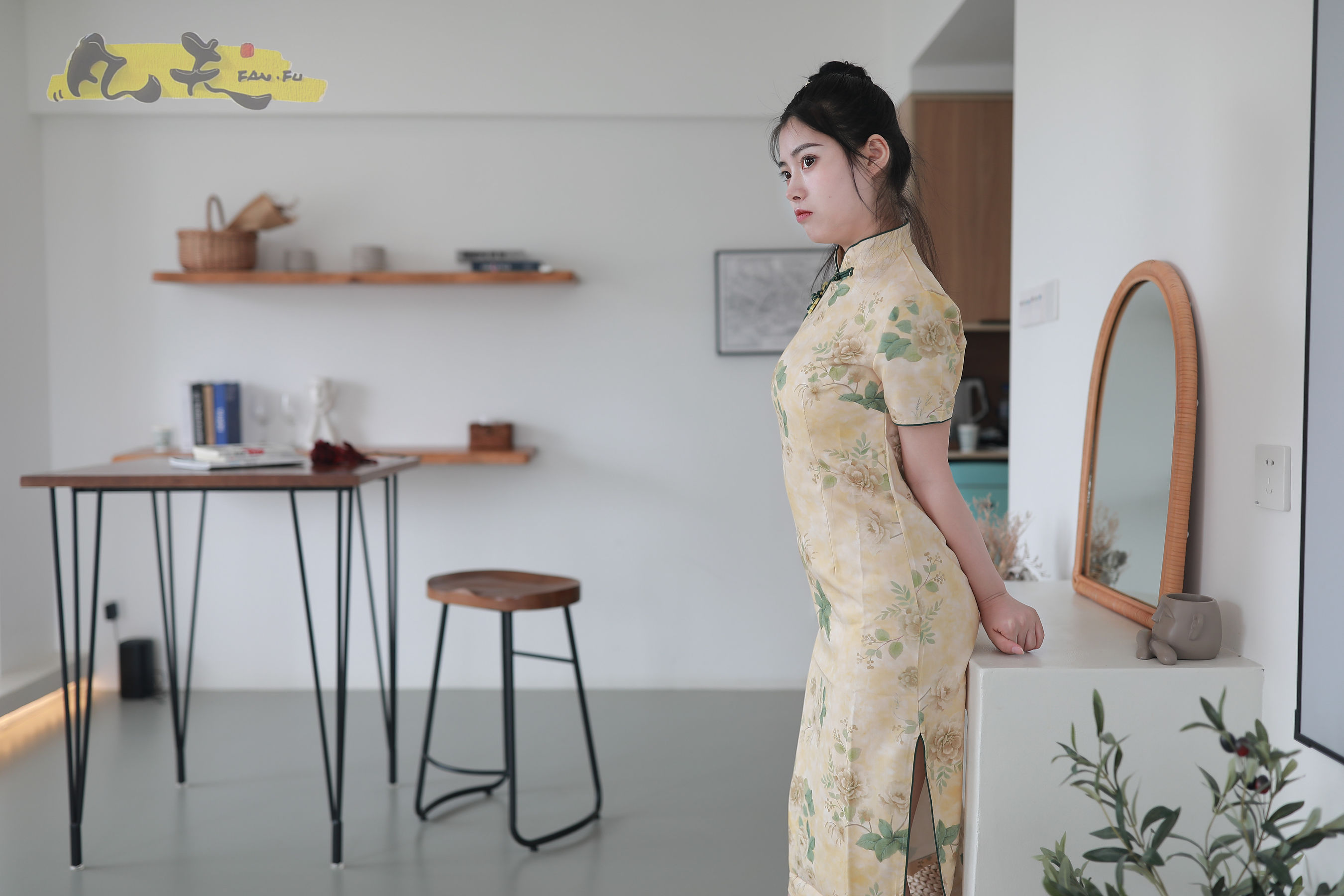 凡夫摄影 - 静丽 青灯古曲/(264P)