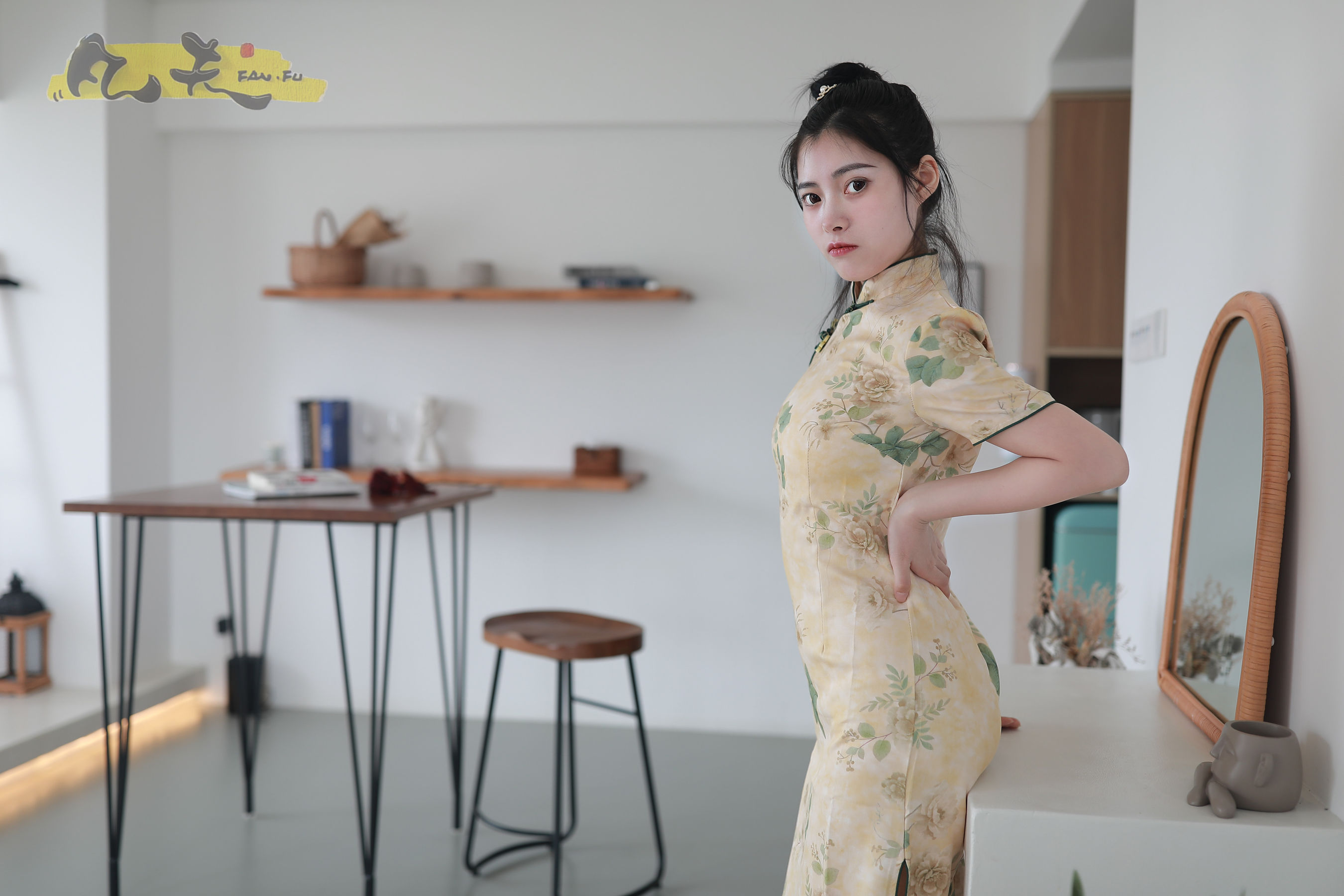 凡夫摄影 - 静丽 青灯古曲/(264P)