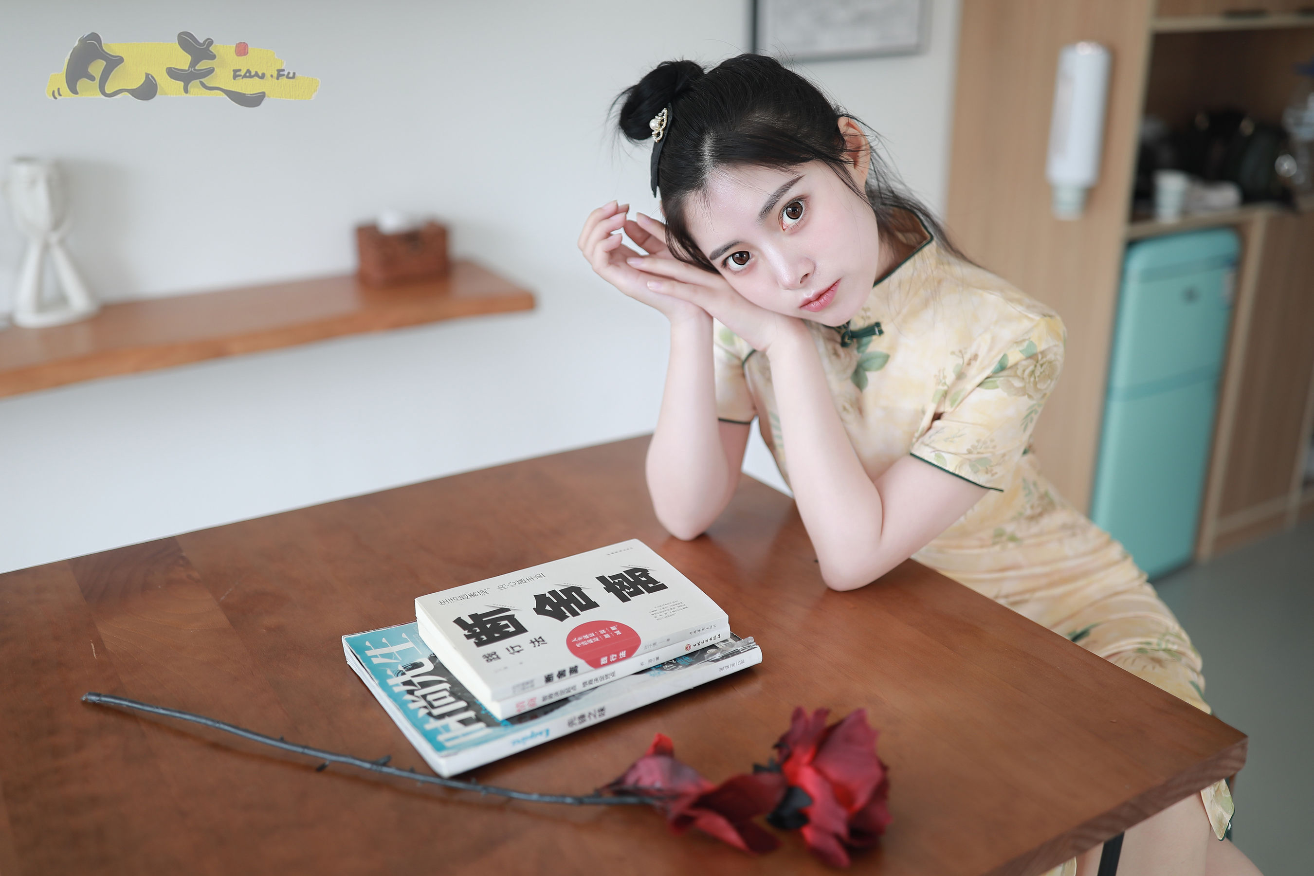 凡夫摄影 - 静丽 青灯古曲/(264P)