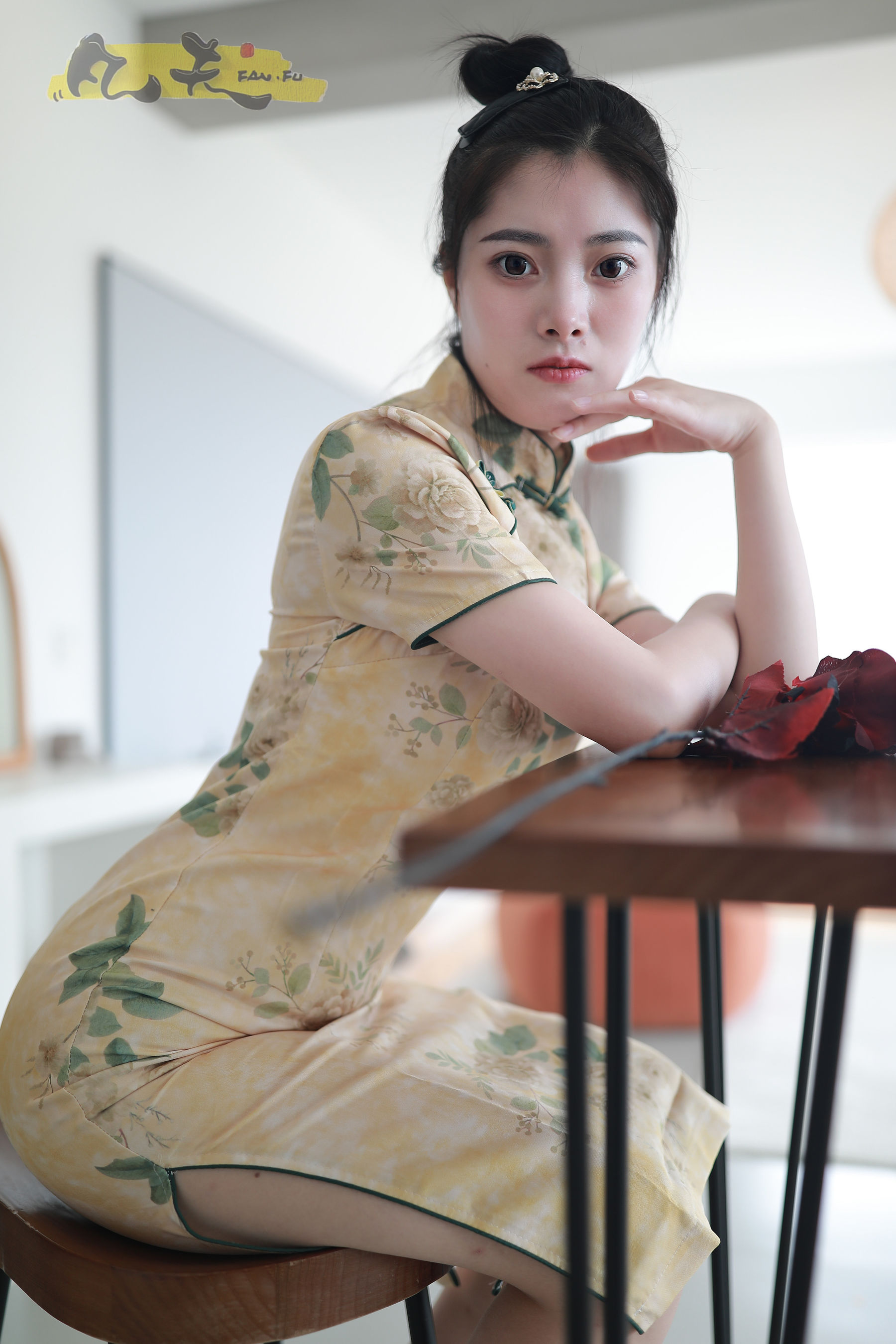 凡夫摄影 - 静丽 青灯古曲/(264P)