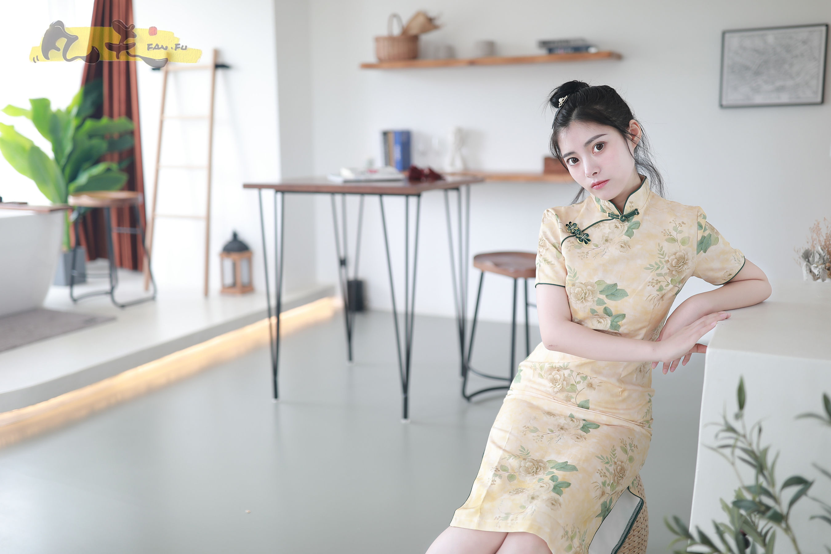 凡夫摄影 - 静丽 青灯古曲/(264P)