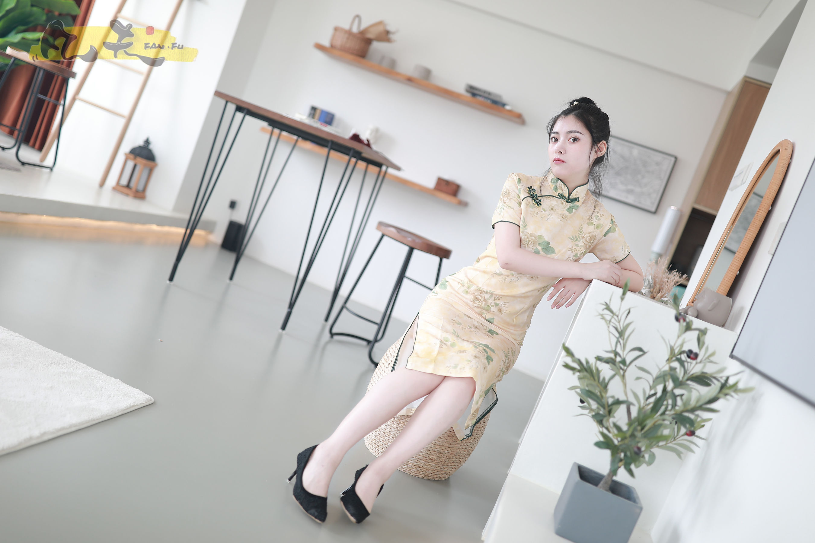 凡夫摄影 - 静丽 青灯古曲/(264P)