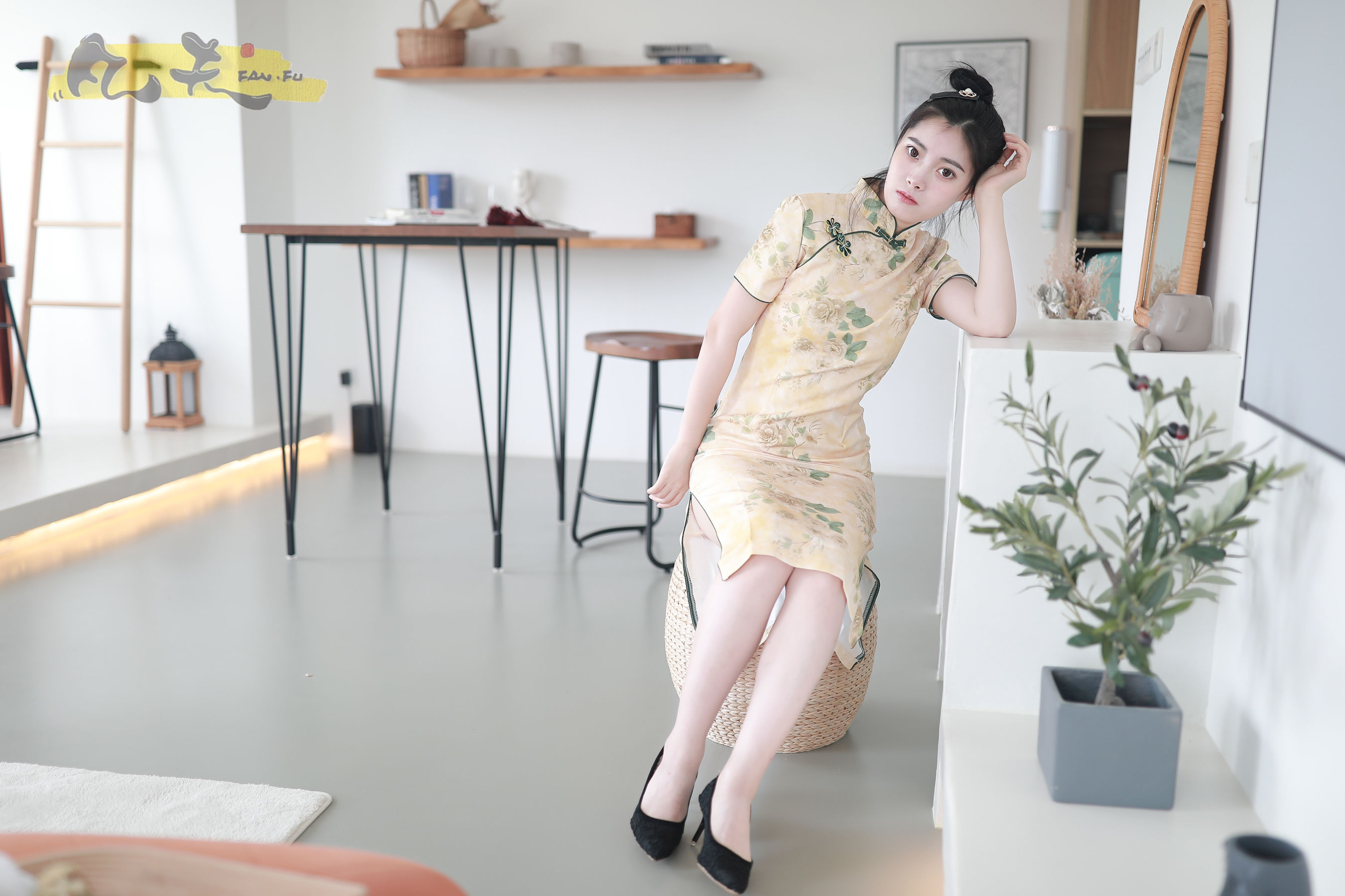 凡夫摄影 - 静丽 青灯古曲/(264P)