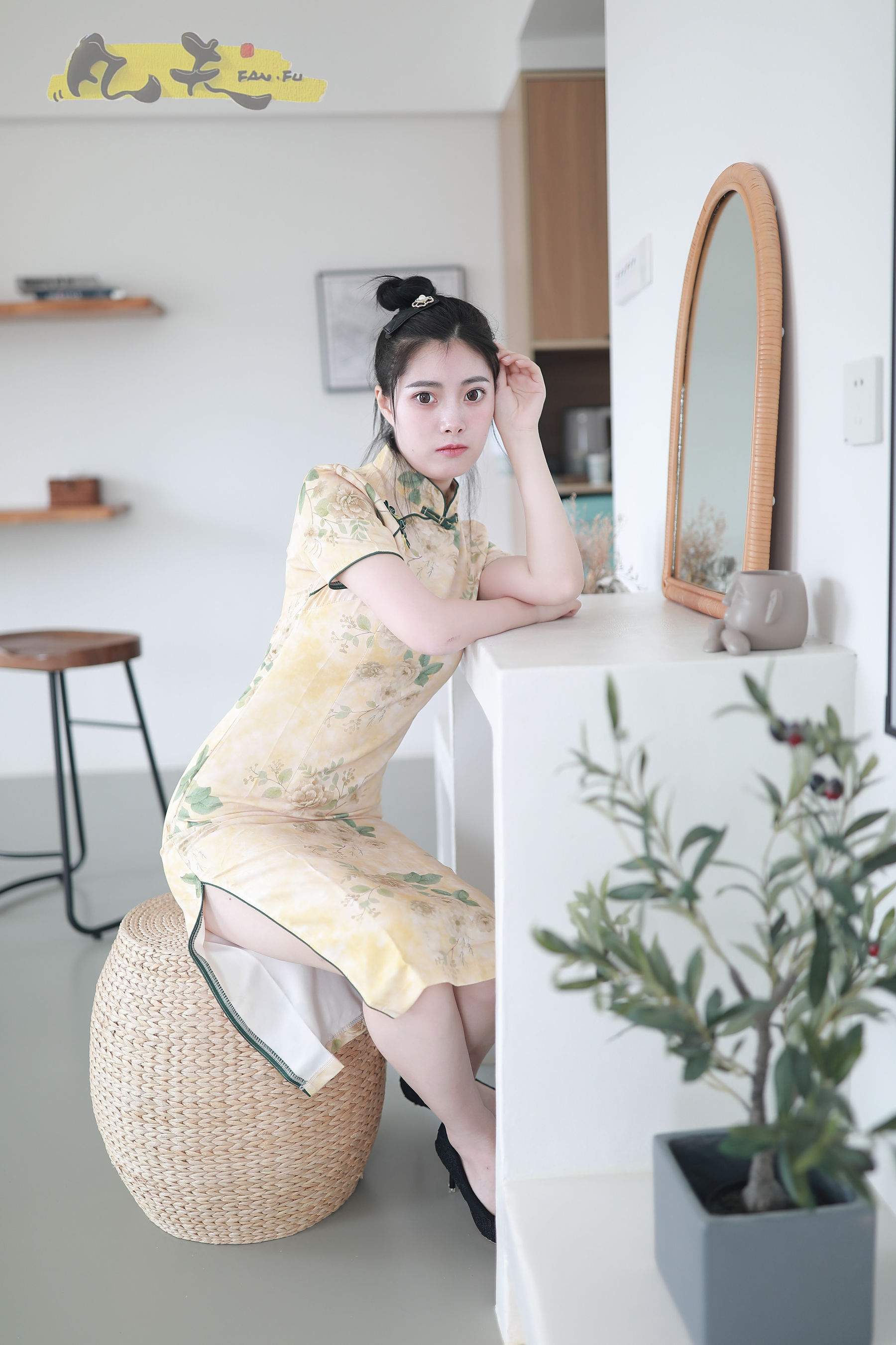凡夫摄影 - 静丽 青灯古曲/(264P)