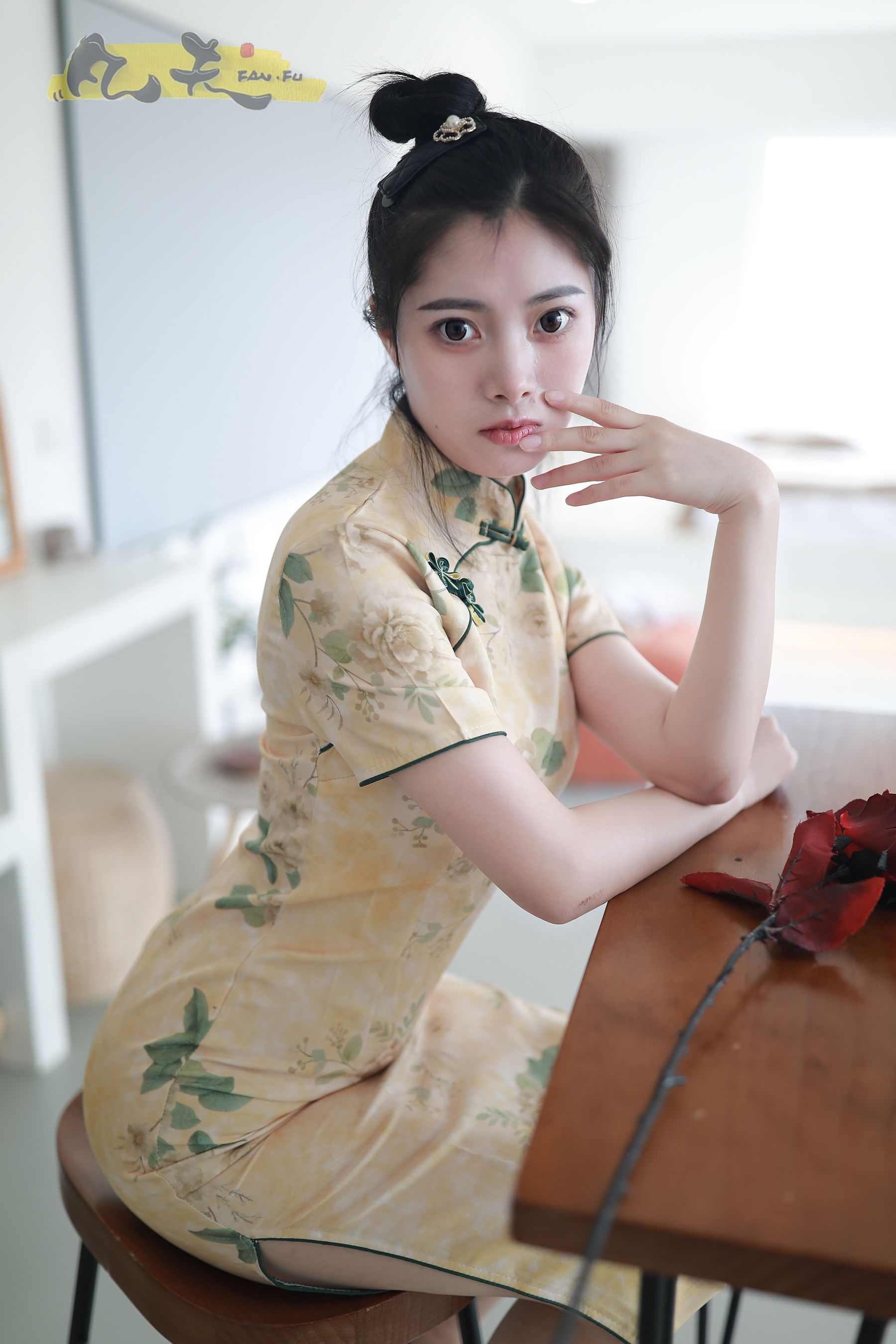 凡夫摄影 - 静丽 青灯古曲/(264P)