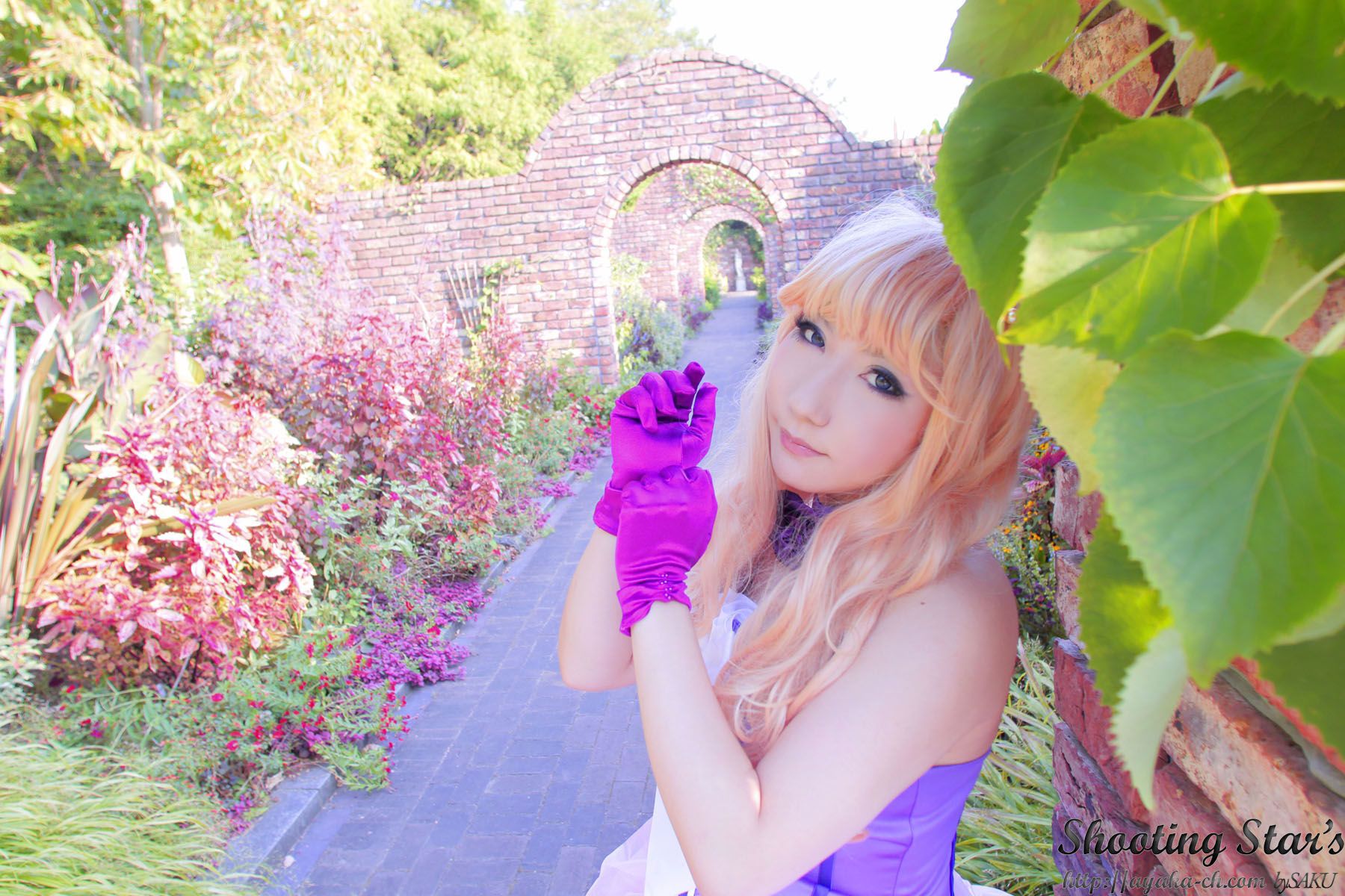 绫香サク 《Macros》Sheryl Nome [Shooting Star s]/(107P)