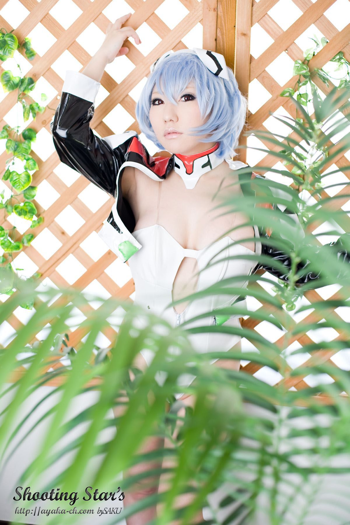 绫香サク 《Shinseiki Evangelion》Ayanami Rei [Shooting Star s]/(130P)