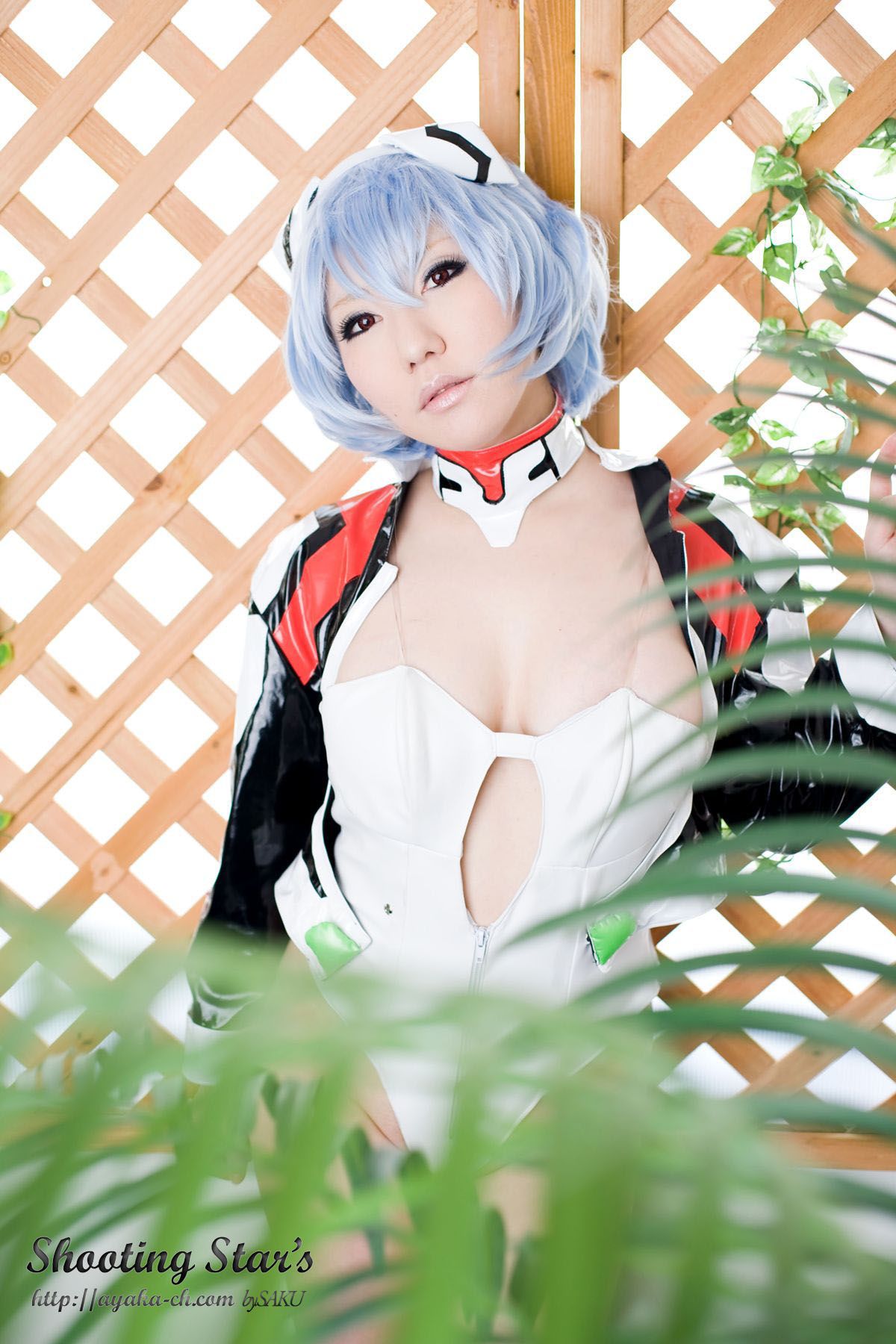 绫香サク 《Shinseiki Evangelion》Ayanami Rei [Shooting Star s]/(130P)