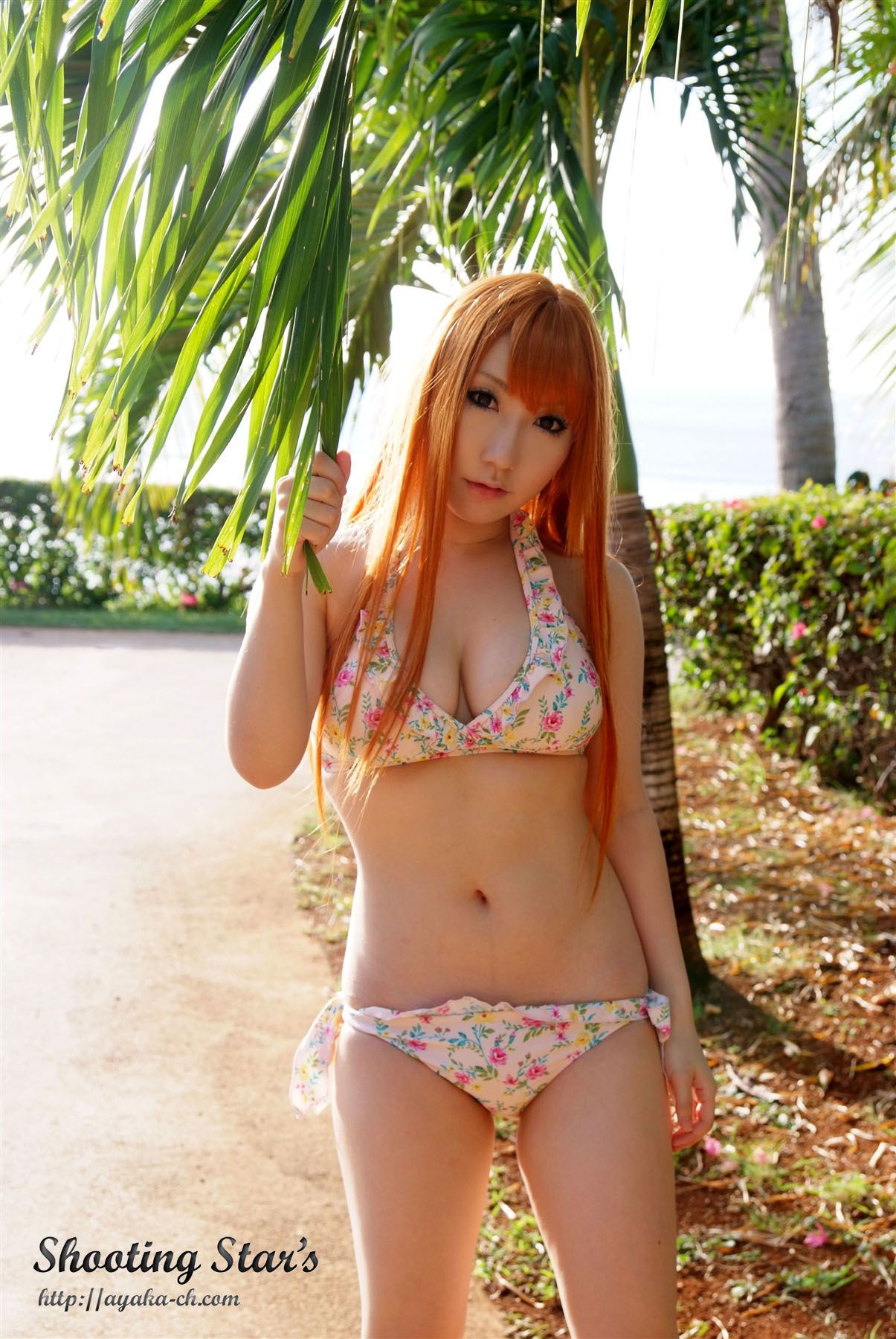 绫香サク  DEAD OR ALIVE XTREME『Cassis Orange』/(150P)