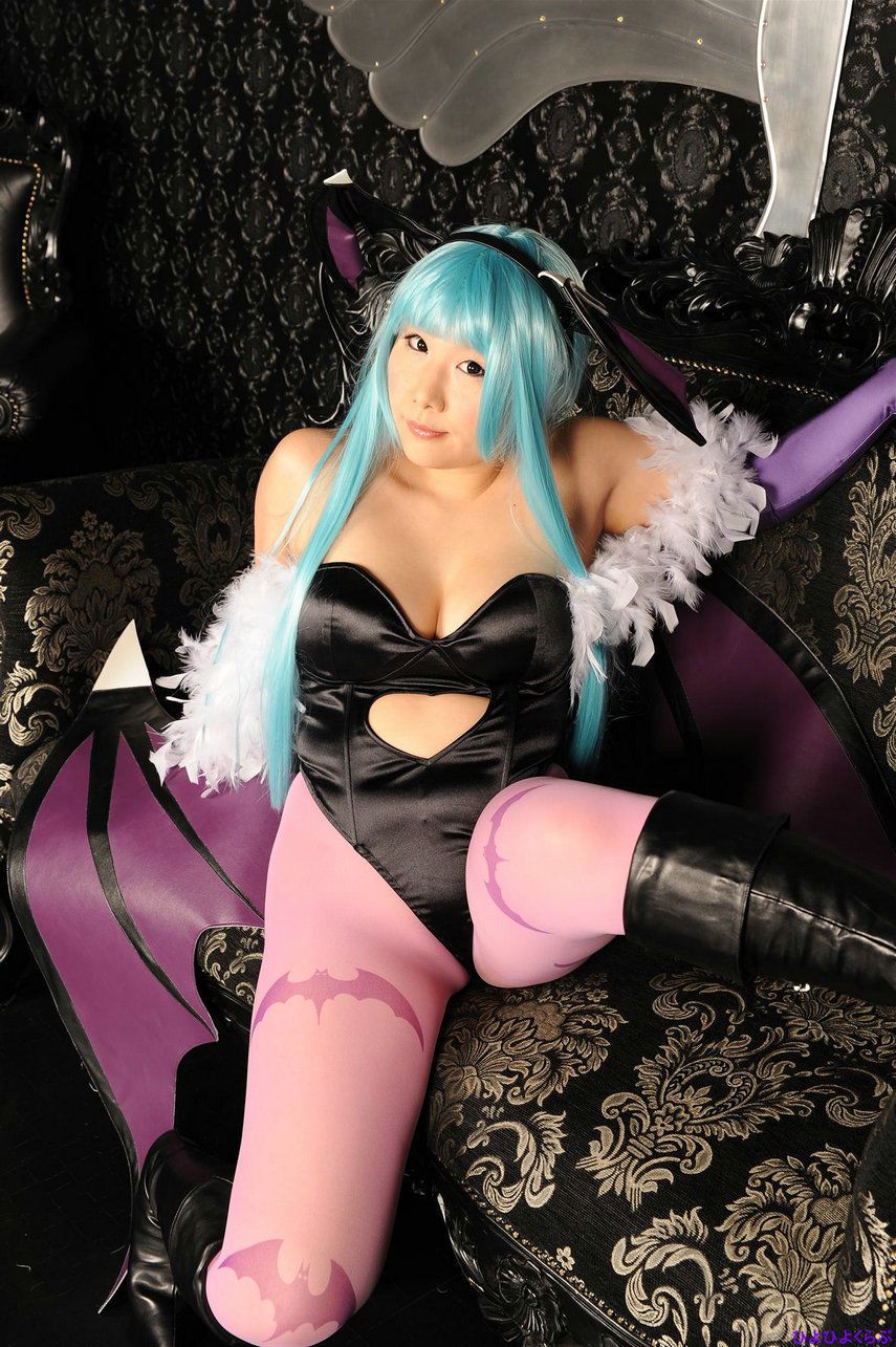 丹雫ひよ (Nishizuku Hiyo) 《Vampire》Morrigan Aensland  [HiyoHiyo Club]/(100P)