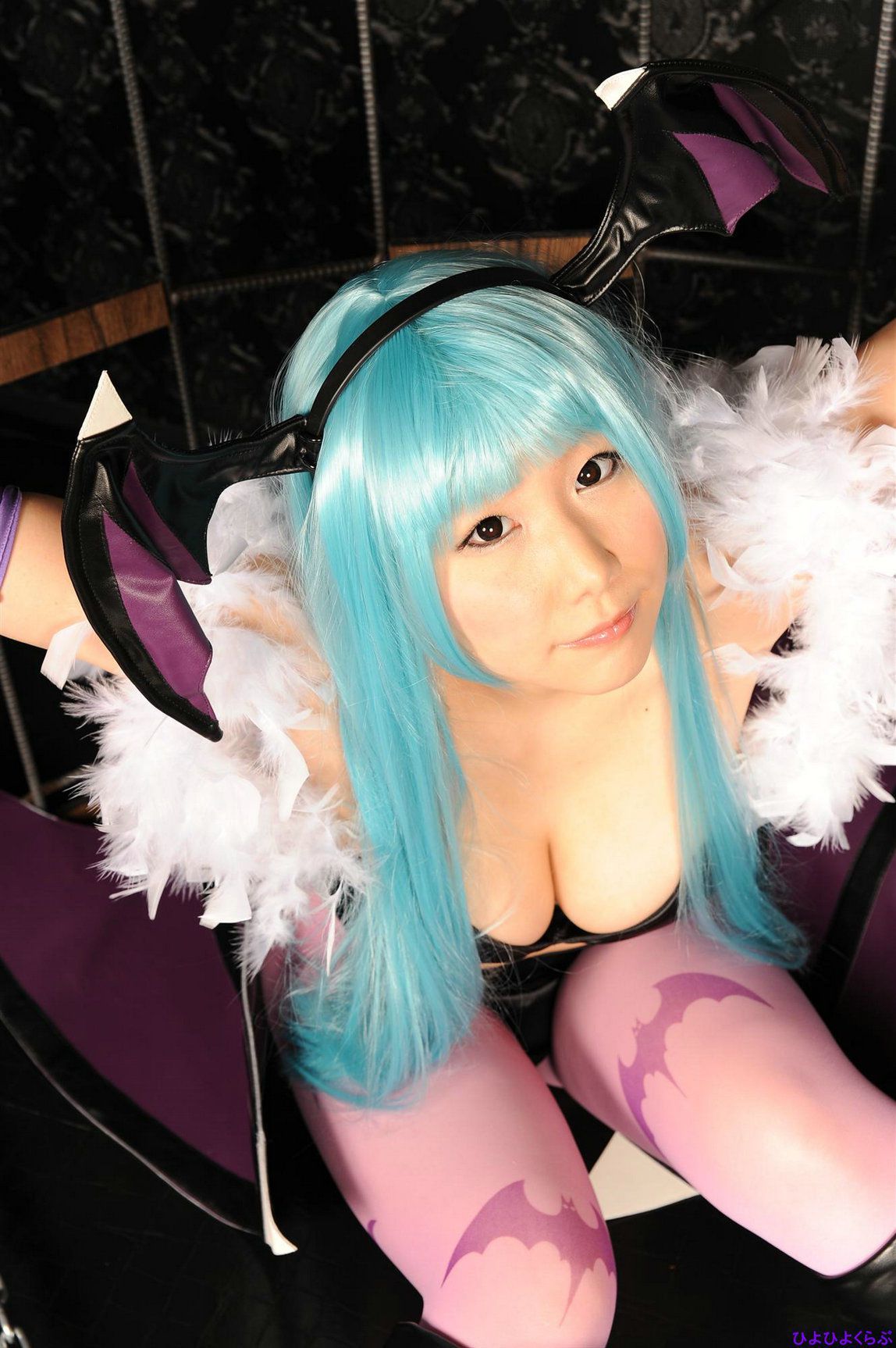 丹雫ひよ (Nishizuku Hiyo) 《Vampire》Morrigan Aensland  [HiyoHiyo Club]/(100P)