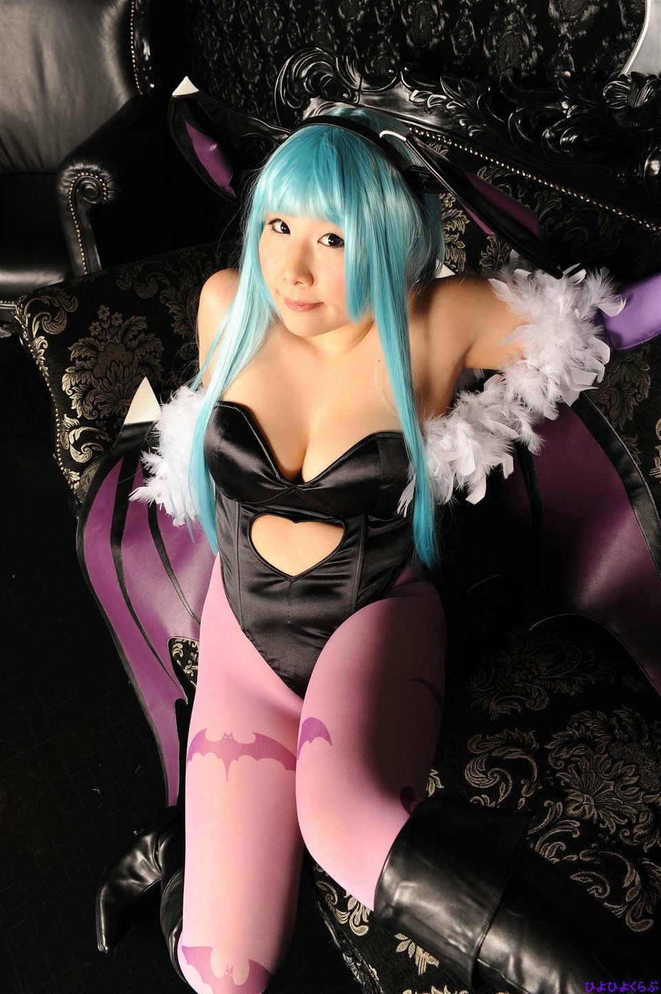 丹雫ひよ (Nishizuku Hiyo) 《Vampire》Morrigan Aensland  [HiyoHiyo Club]/(100P)