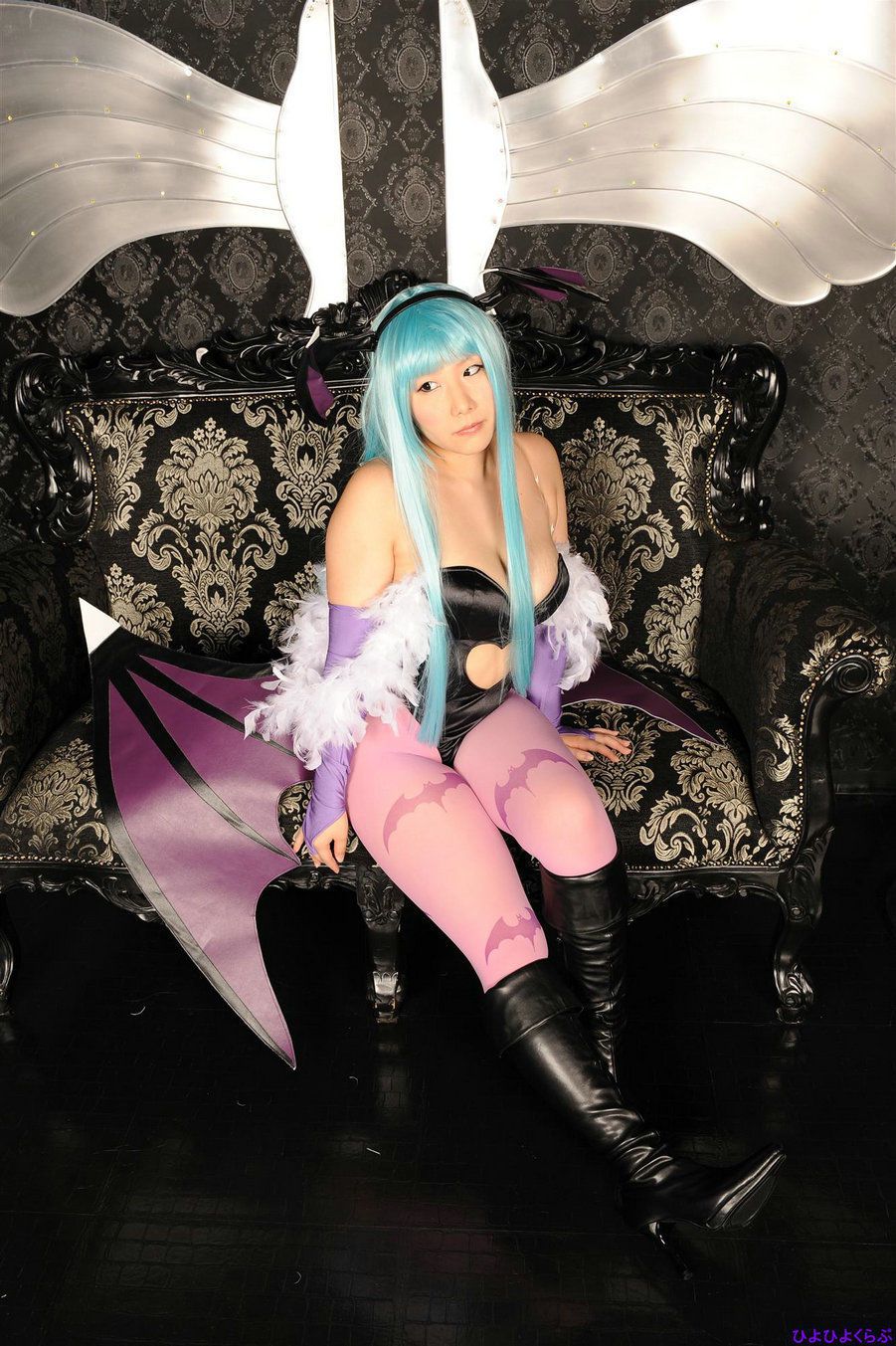 丹雫ひよ (Nishizuku Hiyo) 《Vampire》Morrigan Aensland  [HiyoHiyo Club]/(100P)