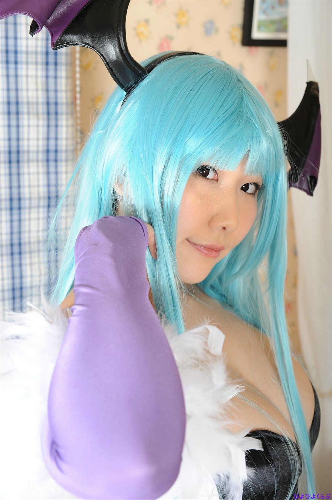 丹雫ひよ (Nishizuku Hiyo) 《Vampire》Morrigan Aensland  [HiyoHiyo Club]/(100P)