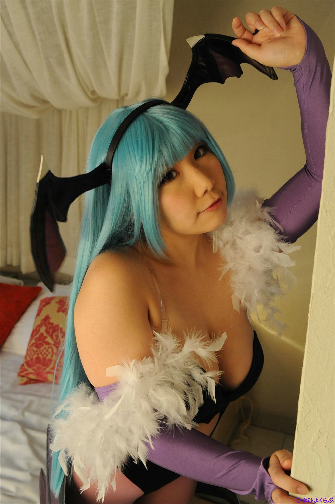 丹雫ひよ (Nishizuku Hiyo) 《Vampire》Morrigan Aensland  [HiyoHiyo Club]/(100P)