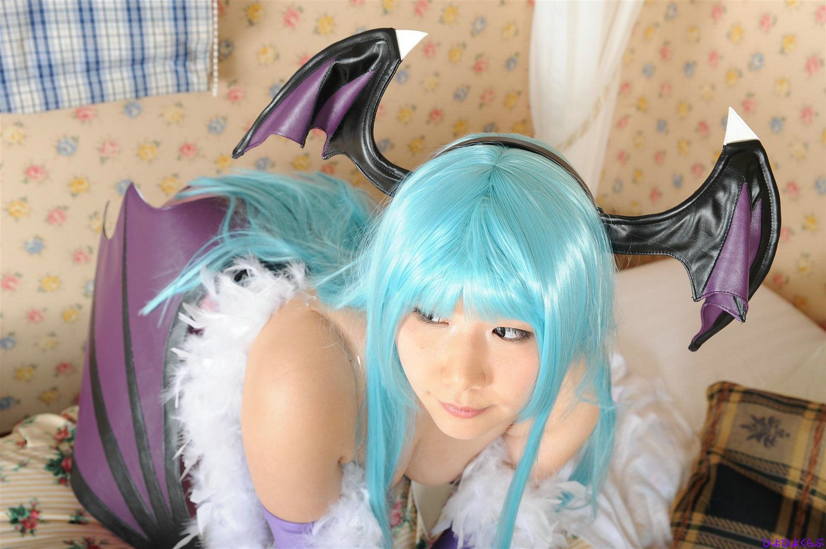 丹雫ひよ (Nishizuku Hiyo) 《Vampire》Morrigan Aensland  [HiyoHiyo Club]/(100P)