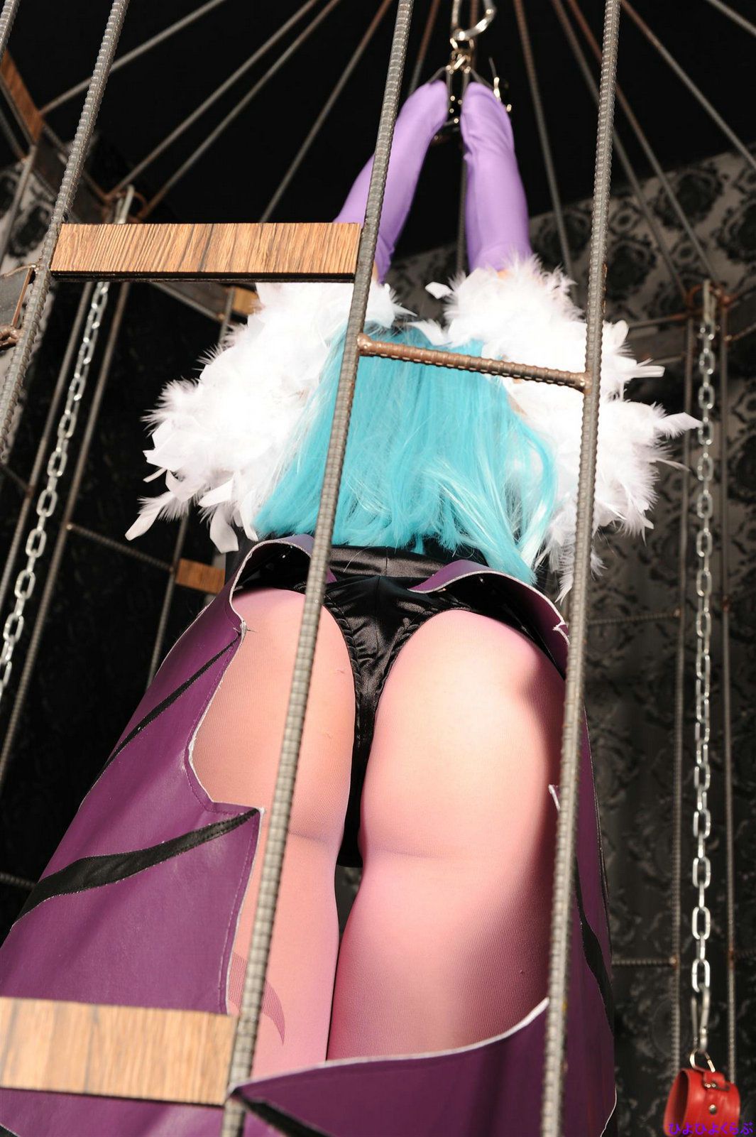 丹雫ひよ (Nishizuku Hiyo) 《Vampire》Morrigan Aensland  [HiyoHiyo Club]/(100P)