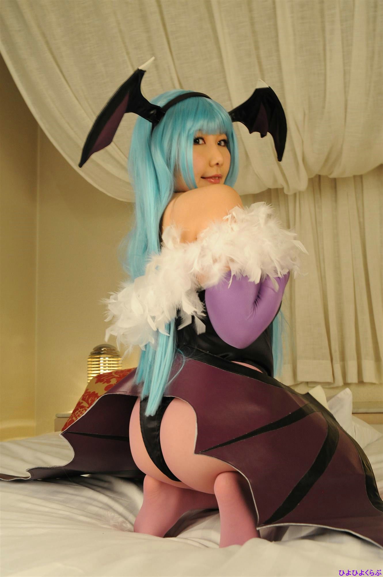 丹雫ひよ (Nishizuku Hiyo) 《Vampire》Morrigan Aensland  [HiyoHiyo Club]/(100P)