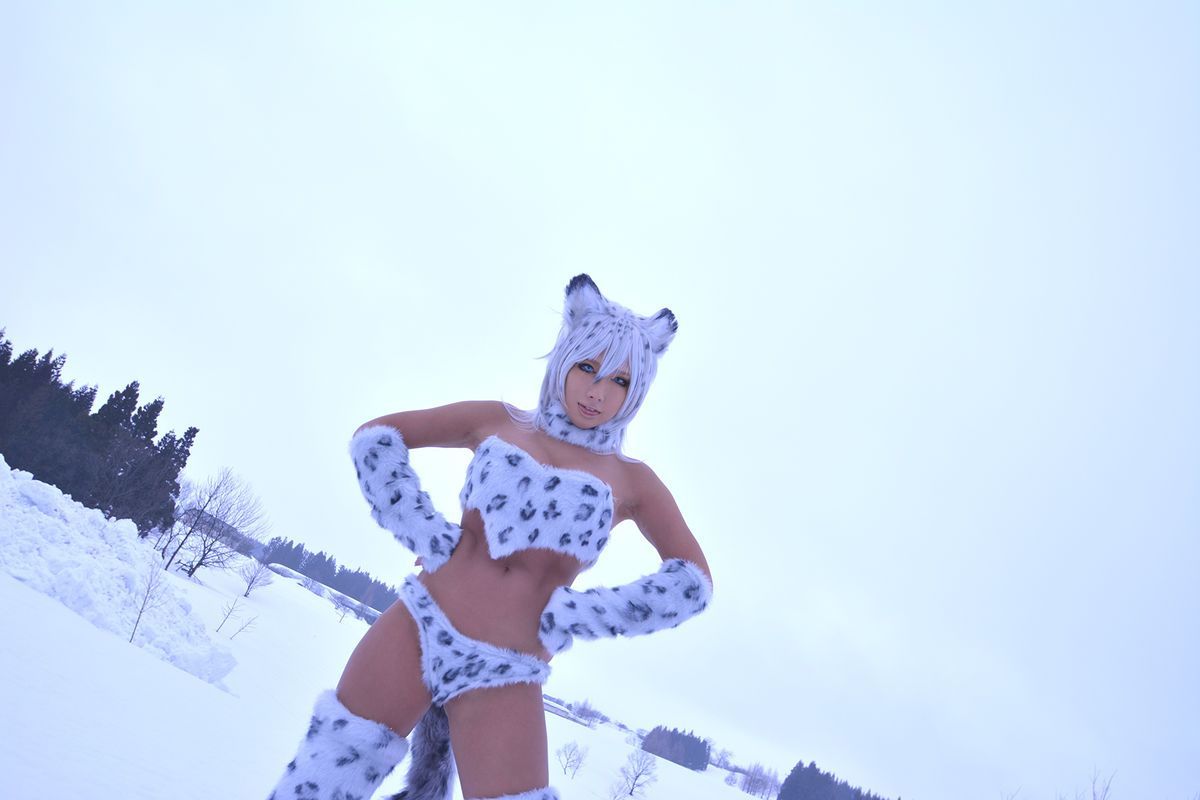 Non (Non SummerJack) Snow Leopard/(100P)