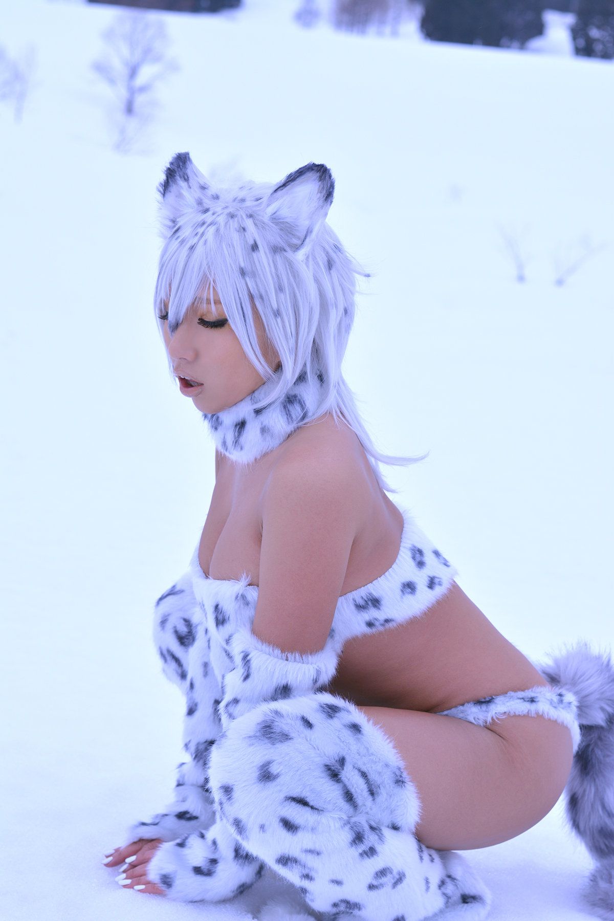 Non (Non SummerJack) Snow Leopard/(100P)