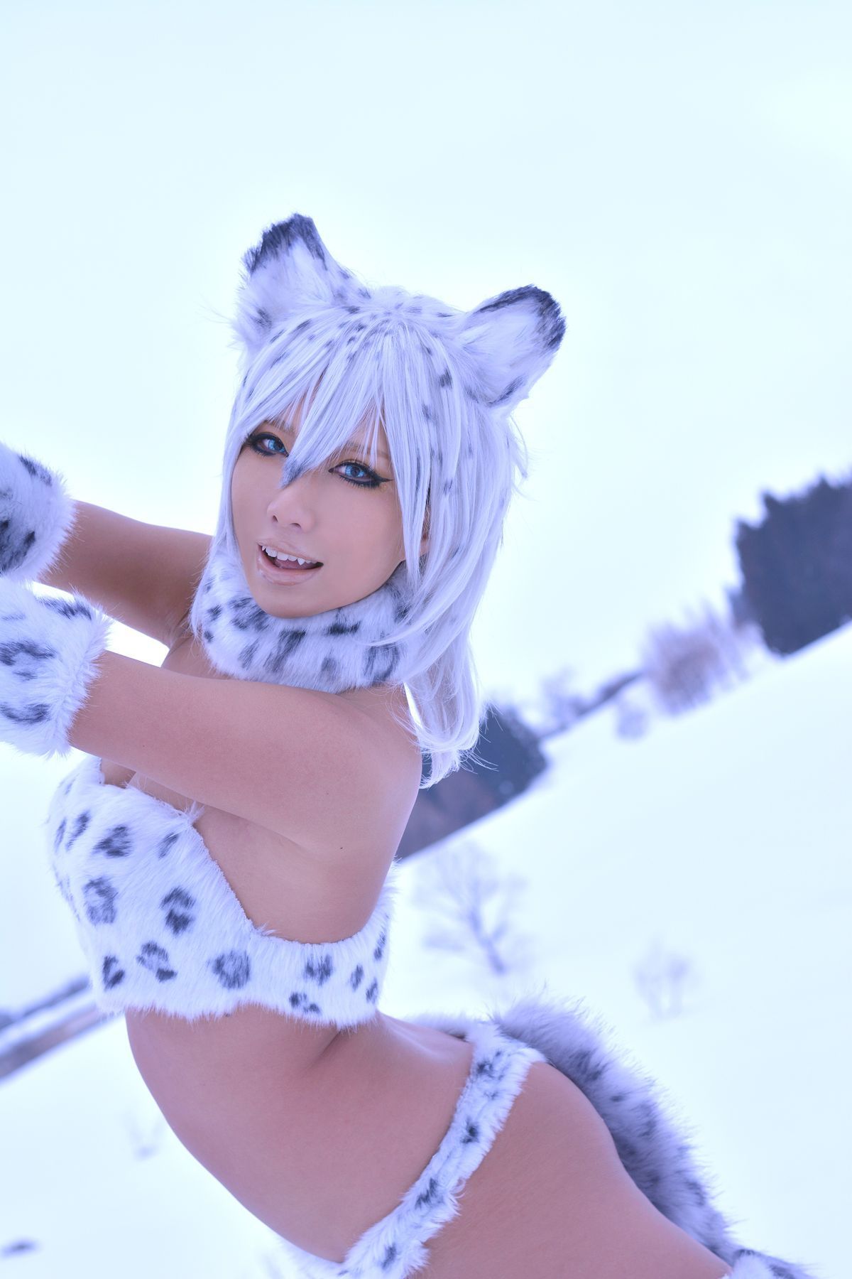 Non (Non SummerJack) Snow Leopard/(100P)