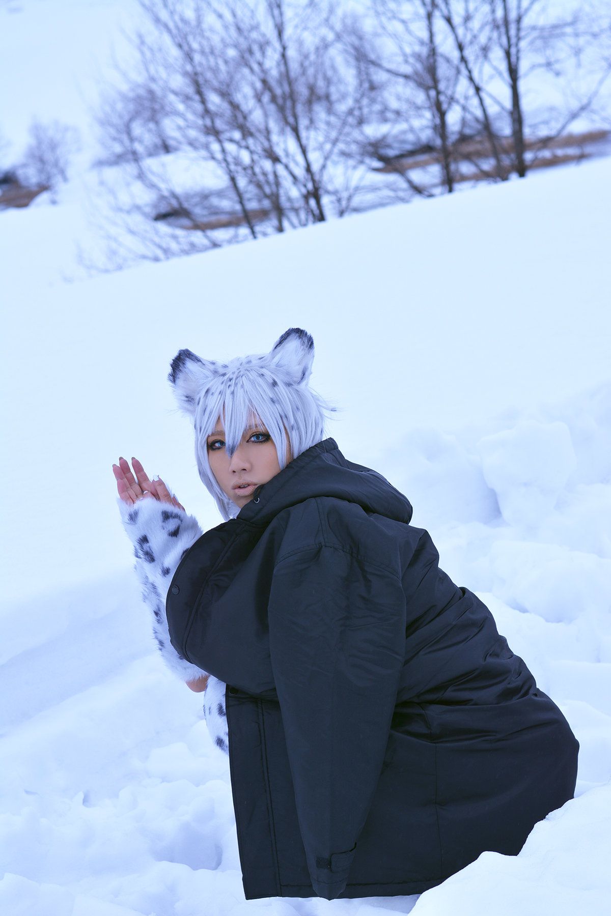 Non (Non SummerJack) Snow Leopard/(100P)