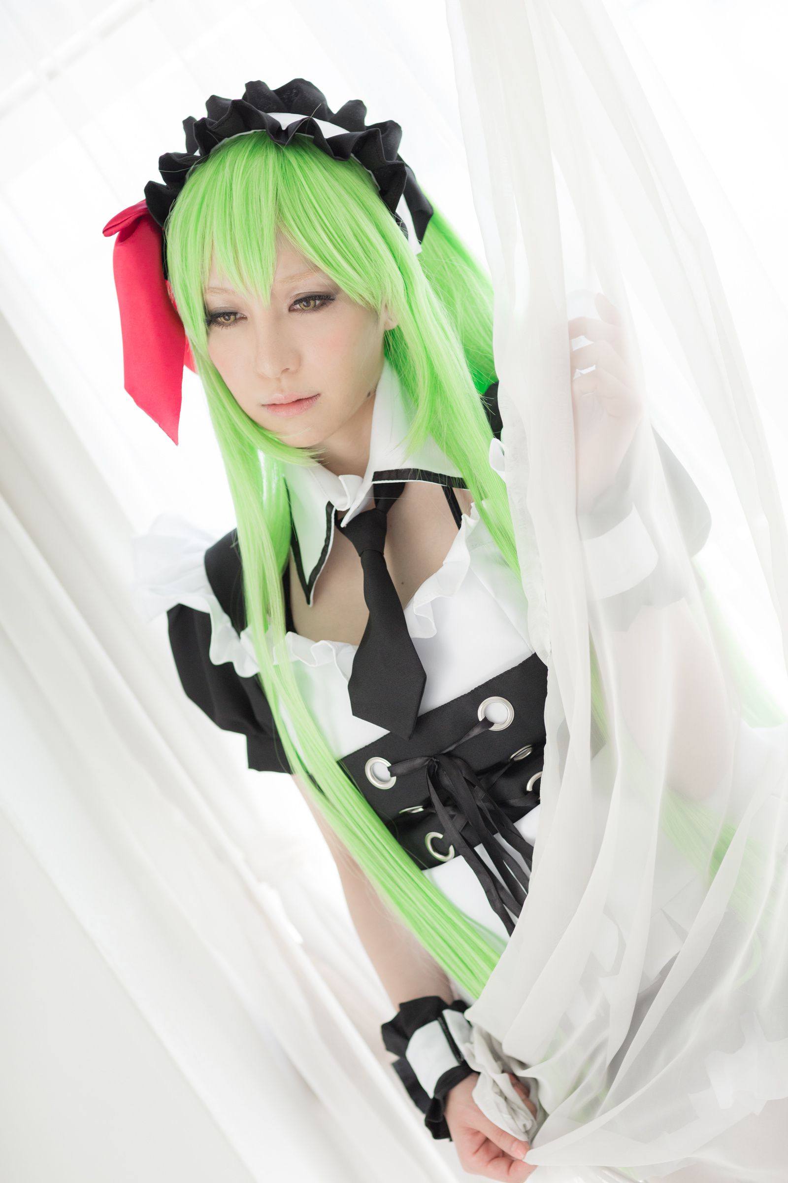 Aoi(葵) 《Code Geass》C.C [bit]/(100P)