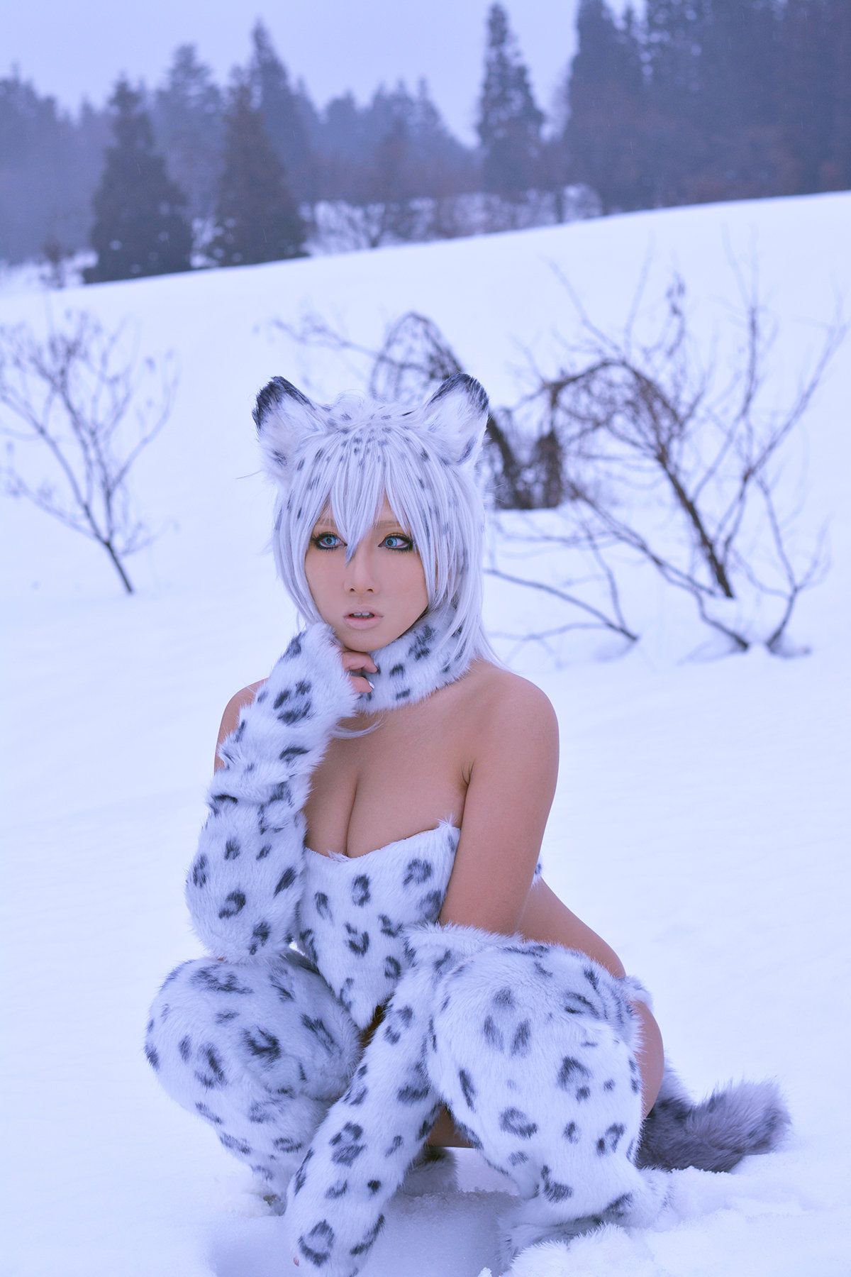 Non (Non SummerJack) Snow Leopard/(100P)