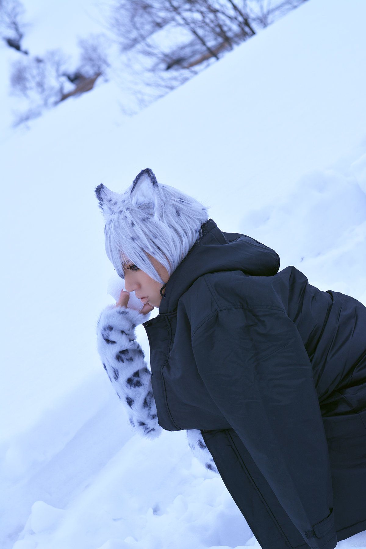 Non (Non SummerJack) Snow Leopard/(100P)