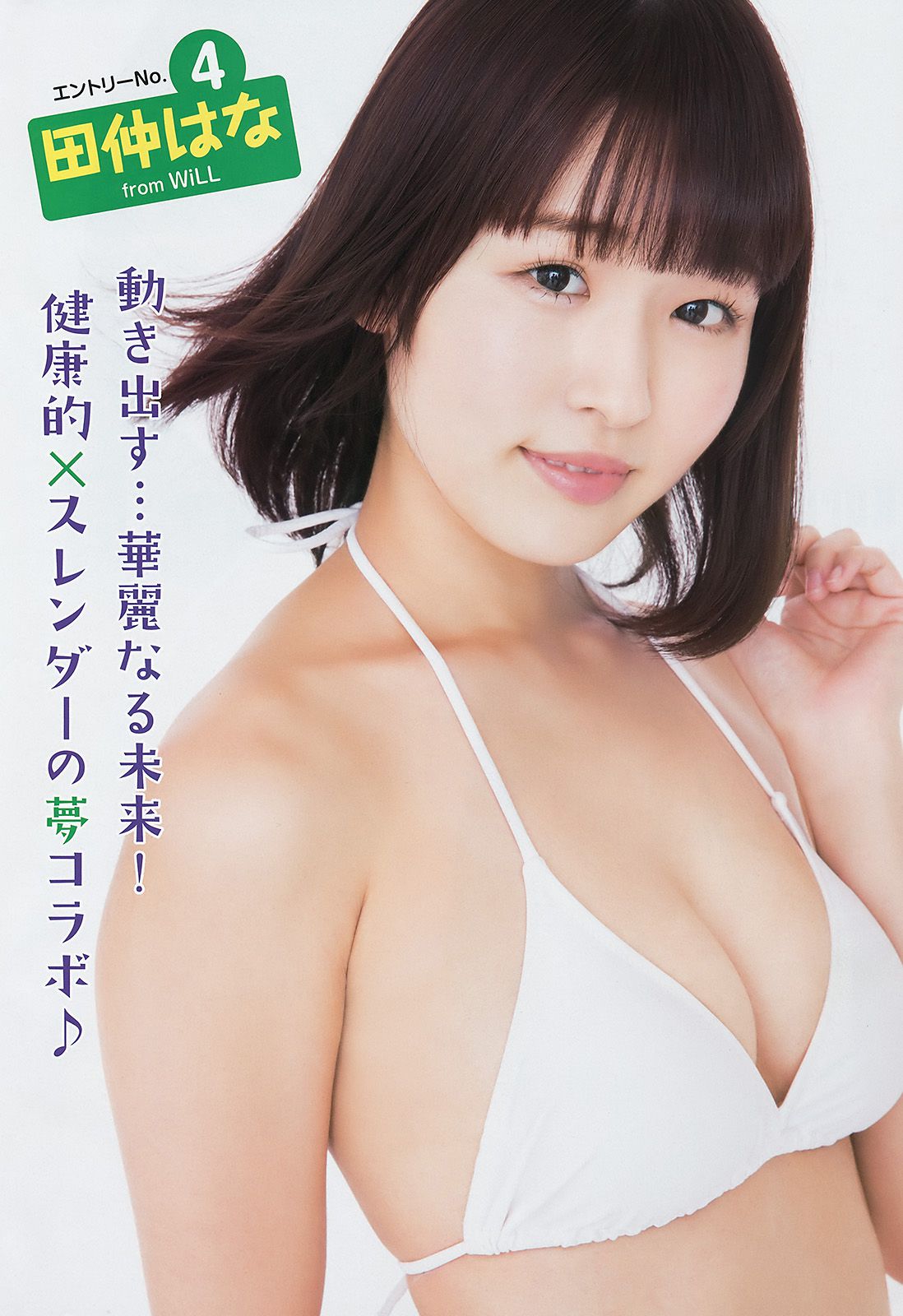 池田優花 葵あおい MIYU 夏目爱海 木内くるみ 横山あみ(横山亚美) [Young Animal] 2017年No.22 写真杂志/(33P)