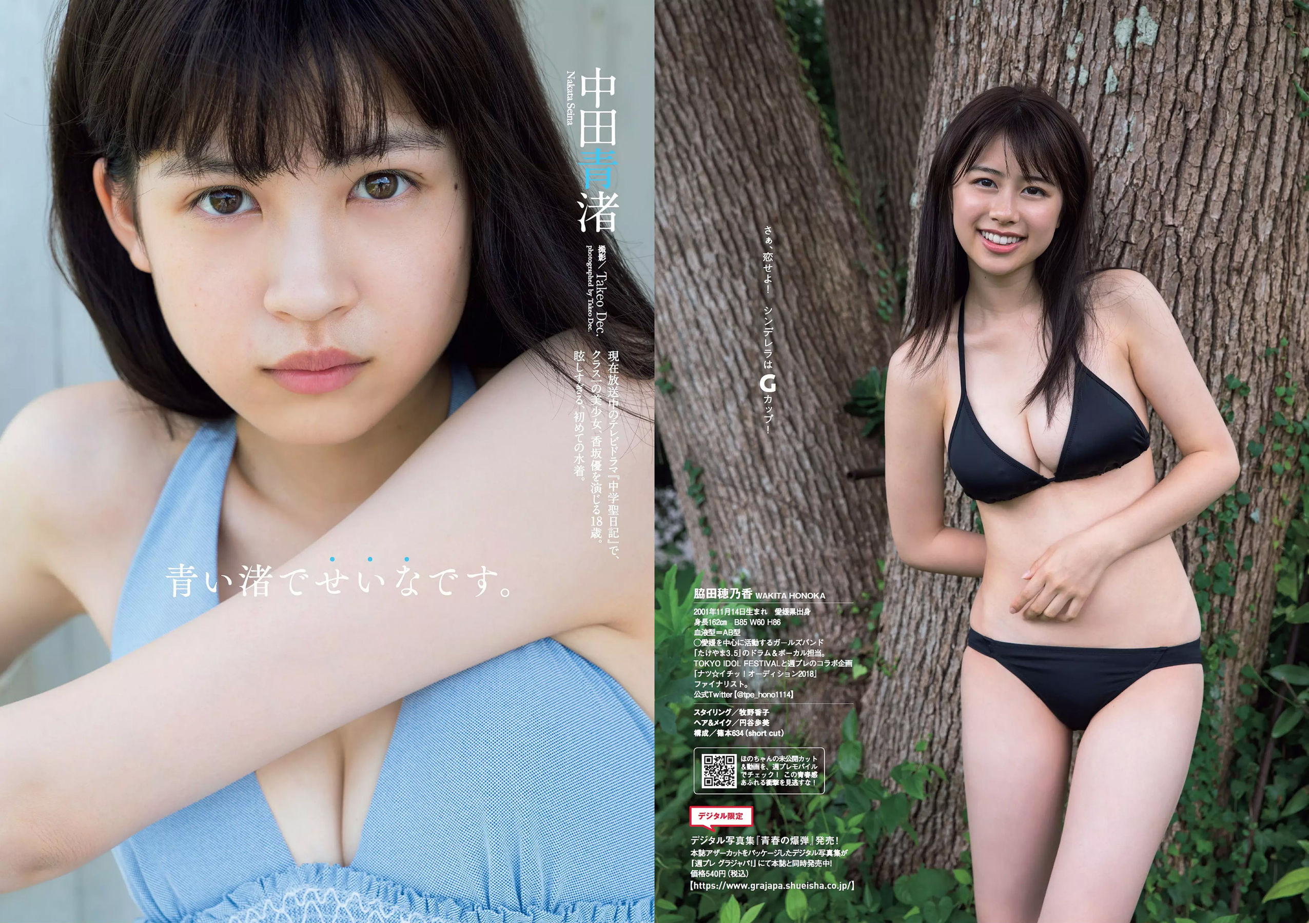 脇田穂乃香 中田青渚 中森千尋 新條由芽 芋生悠 萩田帆風 玉井らん [Weekly Playboy] 2018年No.45 写真杂志/(37P)