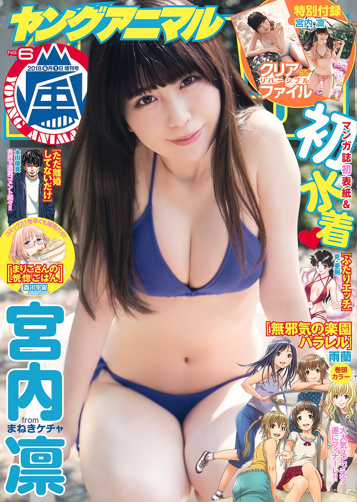 Rin Miyauchi 宮内凛 [Young Animal Arashi] 岚特刊2018年No.06 写真杂志/(10P)