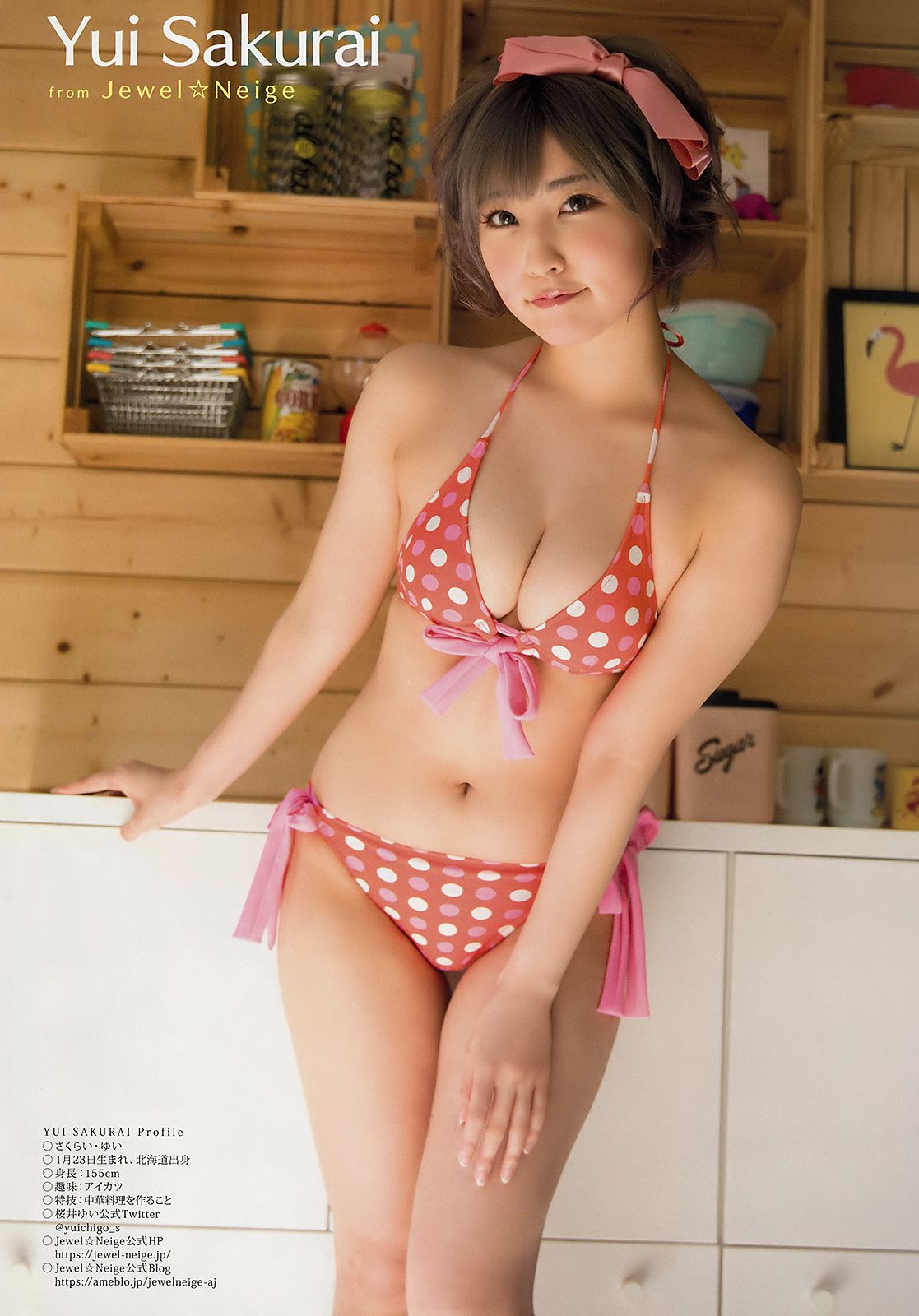 大原優乃 yui sakurai [Young Animal] 2018年No.15 写真杂志/(16P)