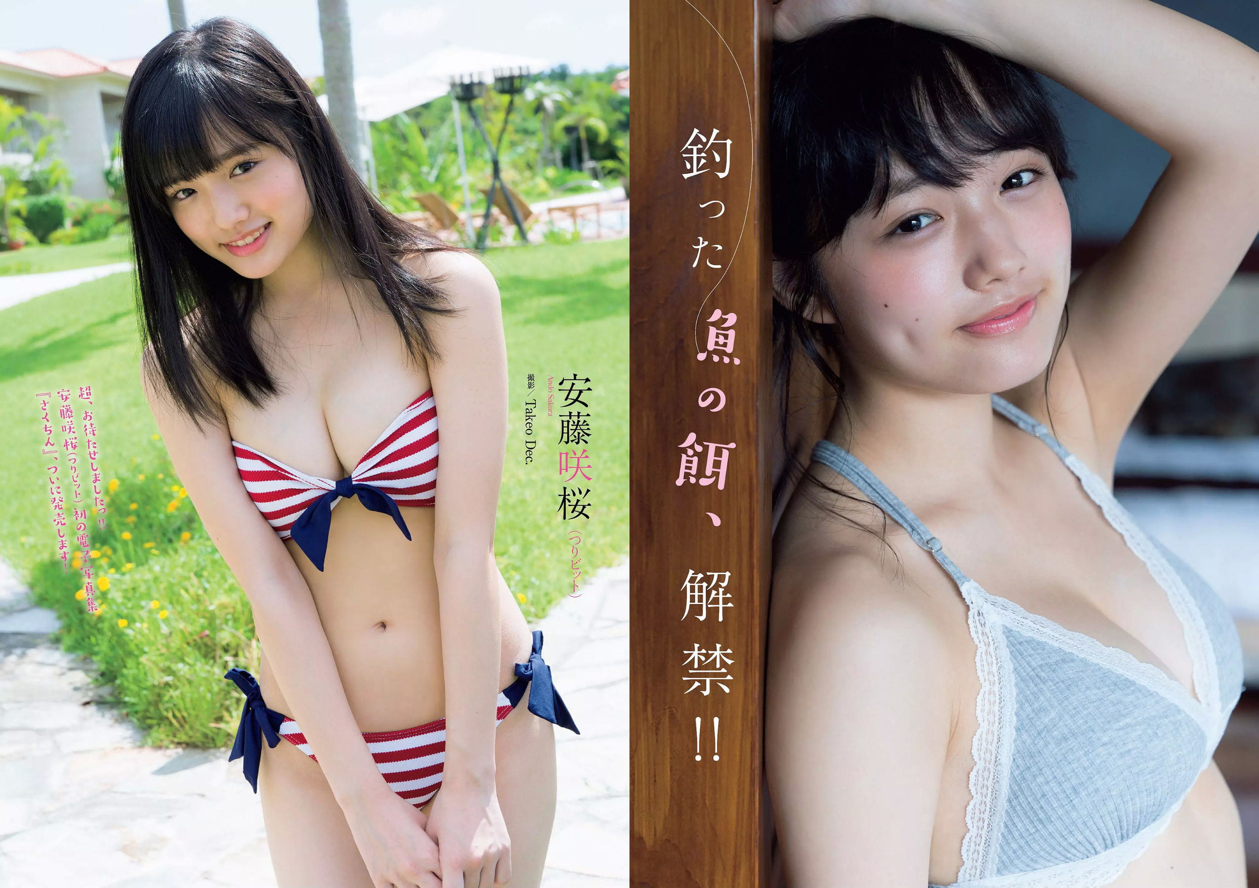 齋藤飛鳥 逢沢りな 沢すみれ 大西桃香 安藤咲桜 春花 [Weekly Playboy] 2018年No.42 写真杂志/(33P)