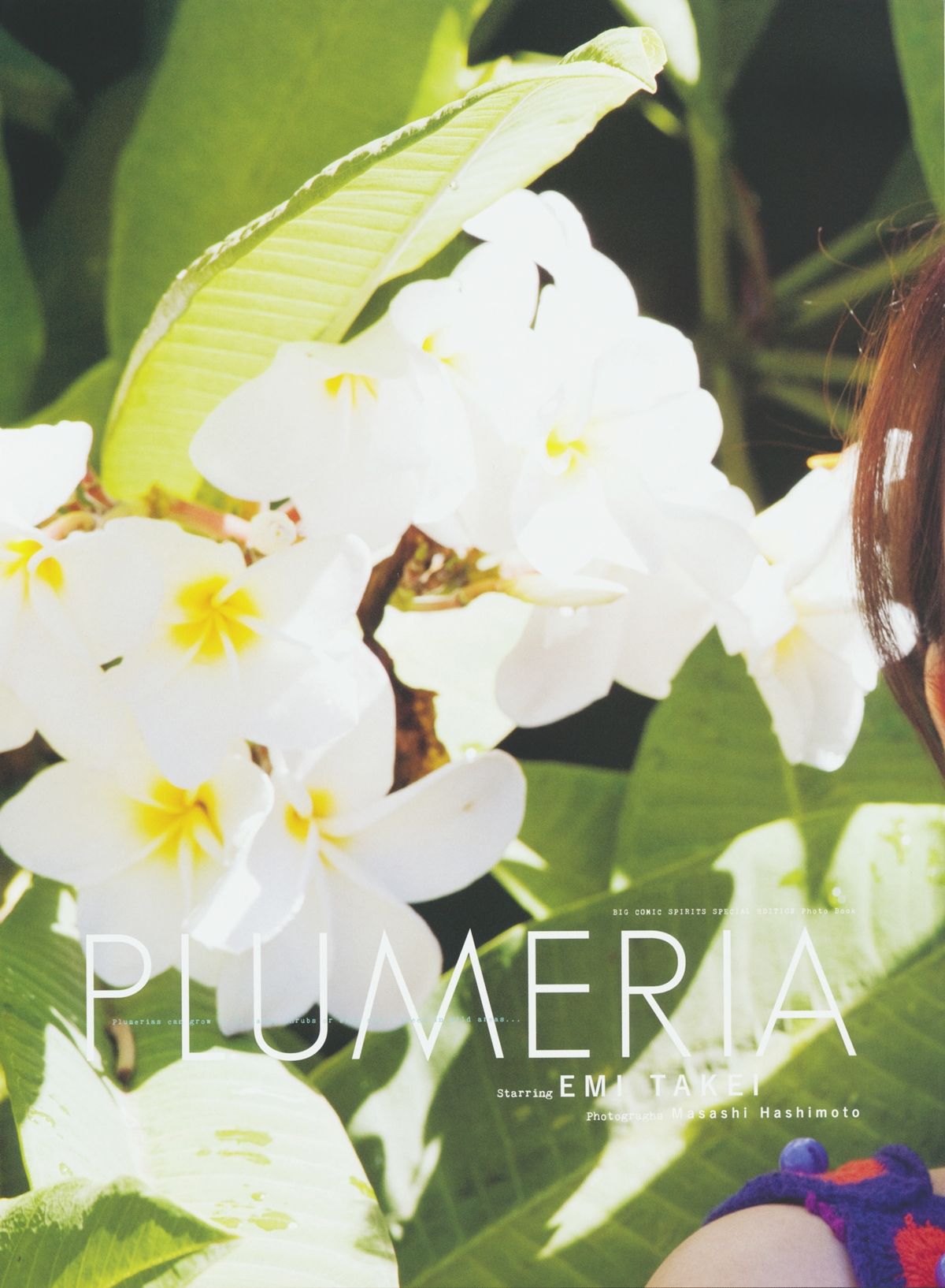 武井咲 《PLUMERIA》  摄影：桥本雅司/(96P)