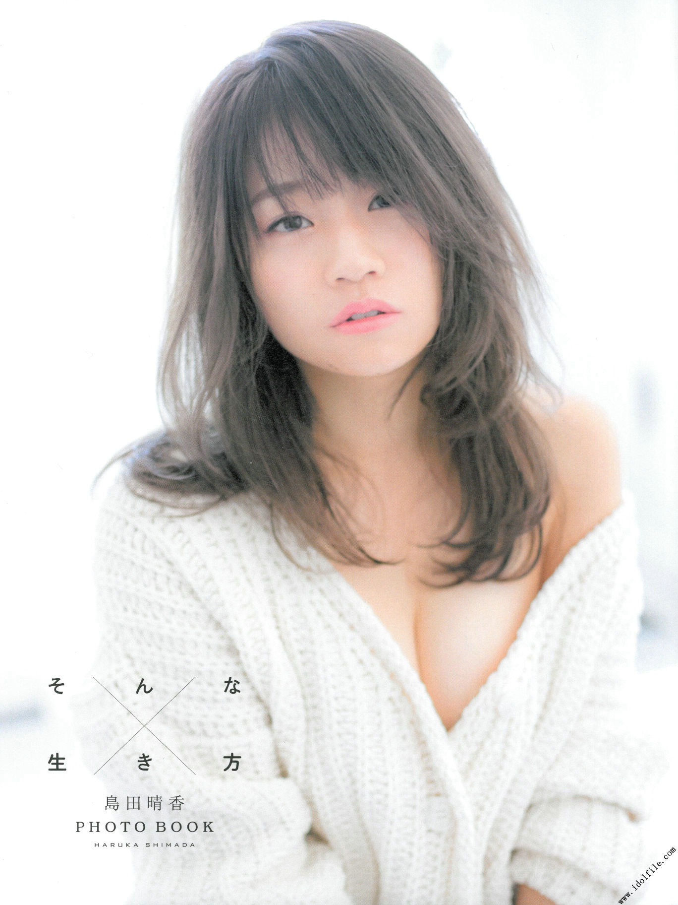 島田晴香「そんな生き方」[PhotoBook]/(83P)