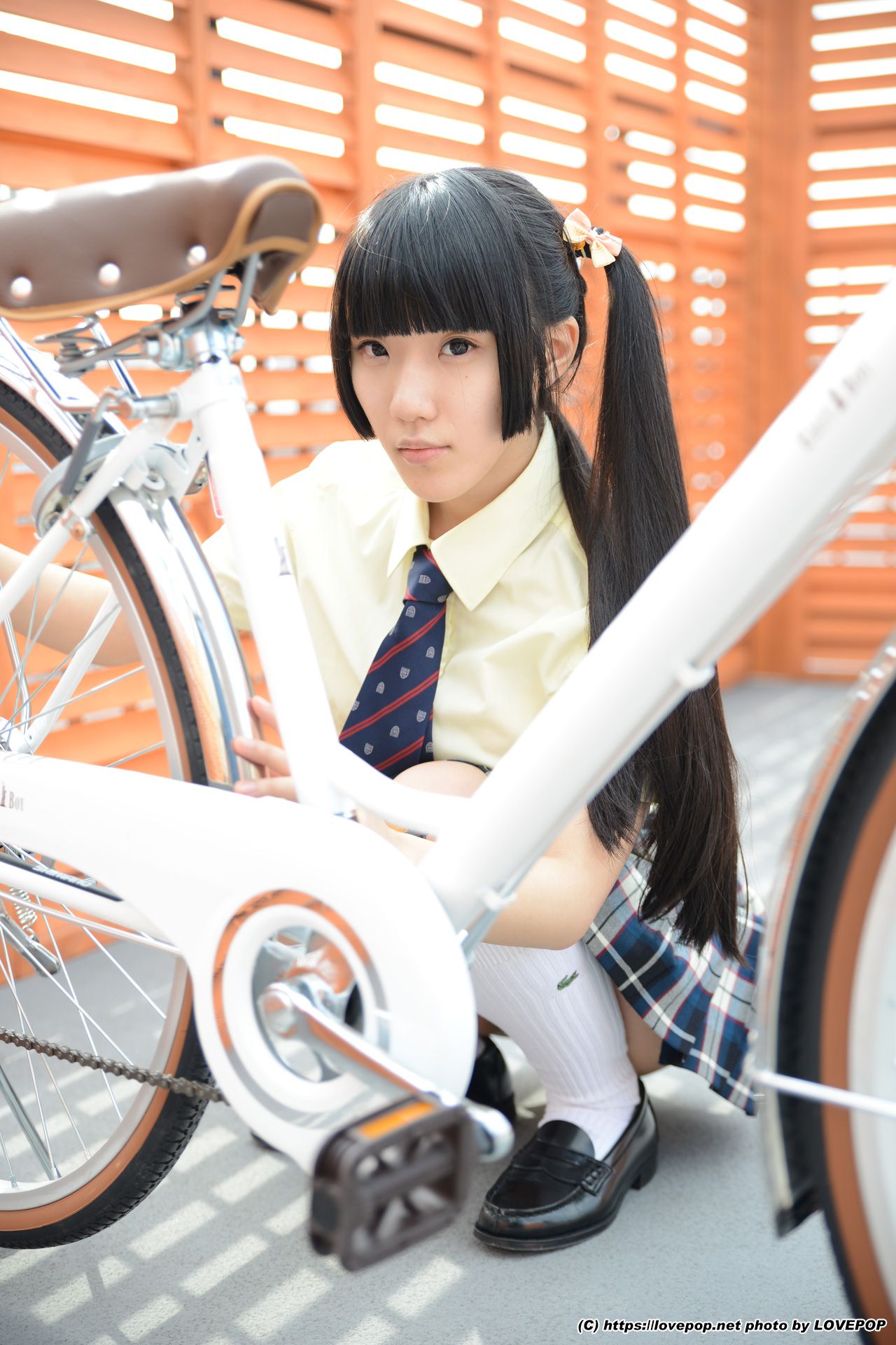 青井いちご Ichigo Aoi Set02 [LovePop]/(65P)