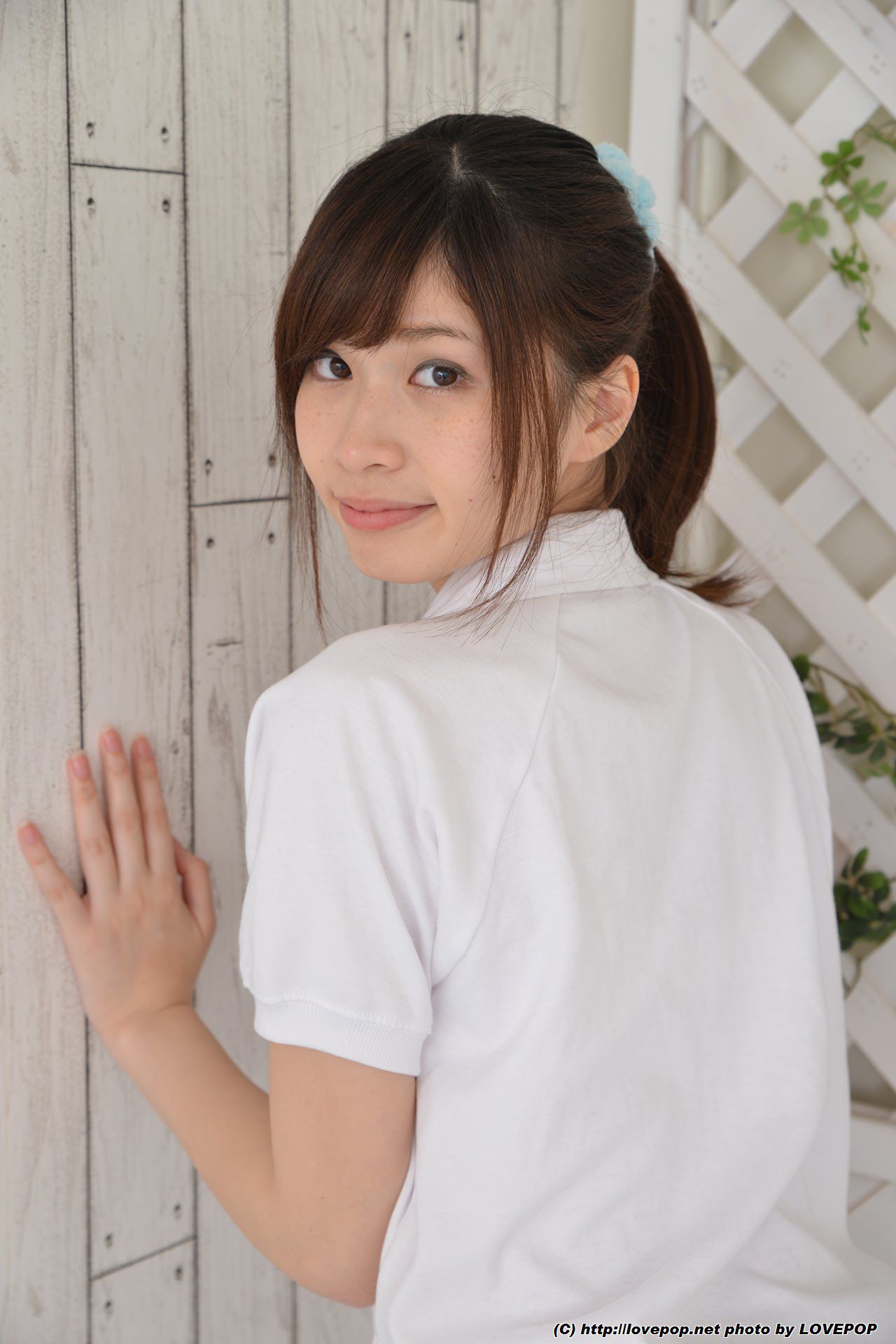 Ria Sato 佐藤理亜 Set1 [LovePop]/(65P)