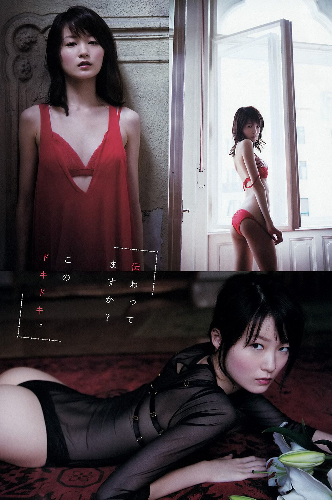 虎南有香 しほの涼 あやみ旬果 逢坂はるな [Young Animal Arashi 岚特刊] No.04 2014年 写真杂志/(23P)