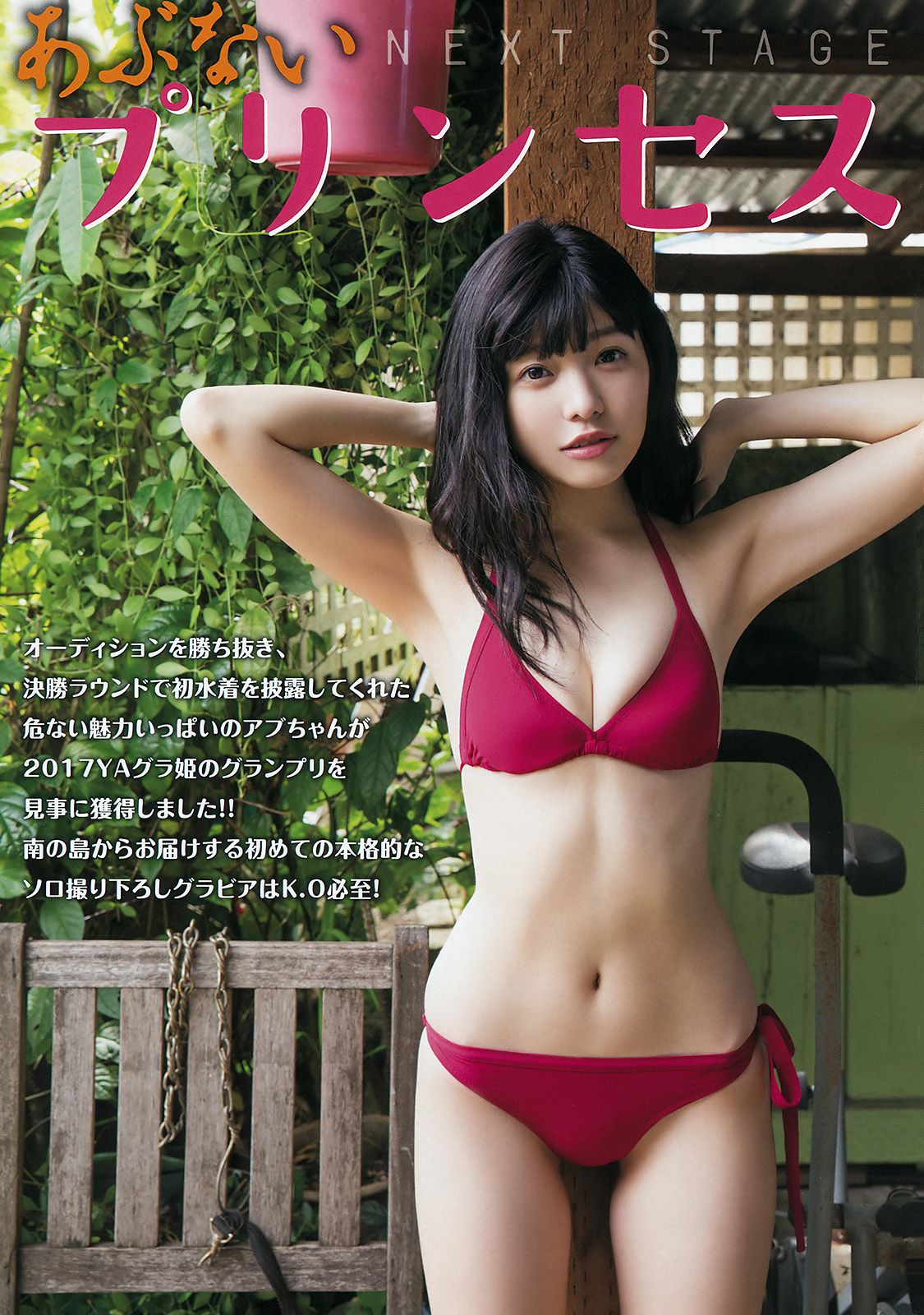 石川夏海 太田里織菜 [Young Animal] 2017年No.04 写真杂志/(18P)