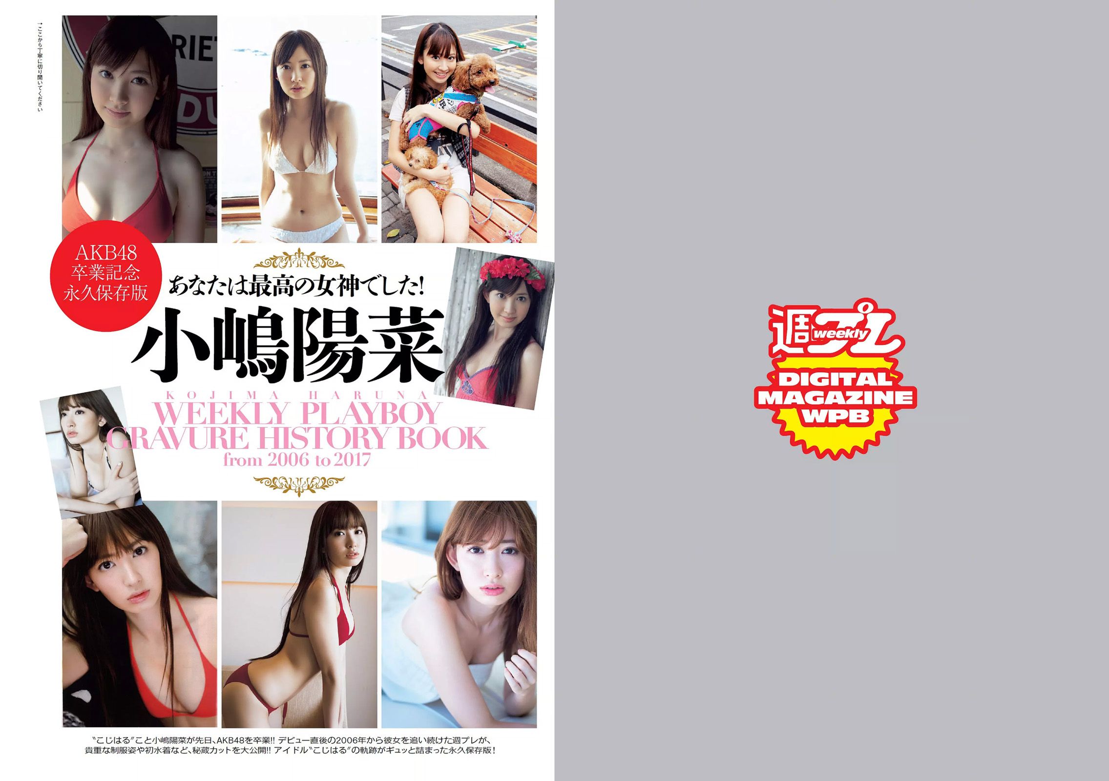 馬場ふみか 小嶋陽菜 天木じゅん 朝比奈彩 逢沢りな 浅川梨奈 藤木由貴 [Weekly Playboy] 2017年No.19-20 写真杂志/(34P)