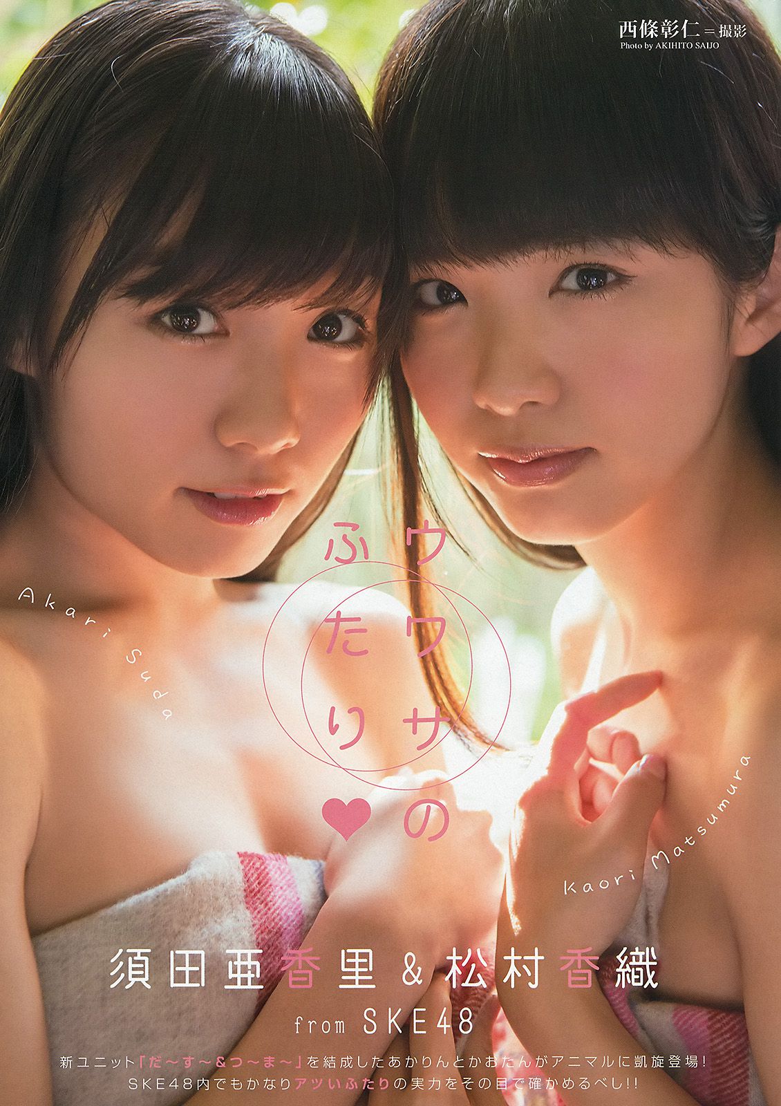 白石麻衣 桜井玲香 松村沙友理 須田亜香里 松村香織 [Young Animal] 2013年No.24 写真杂志/(21P)