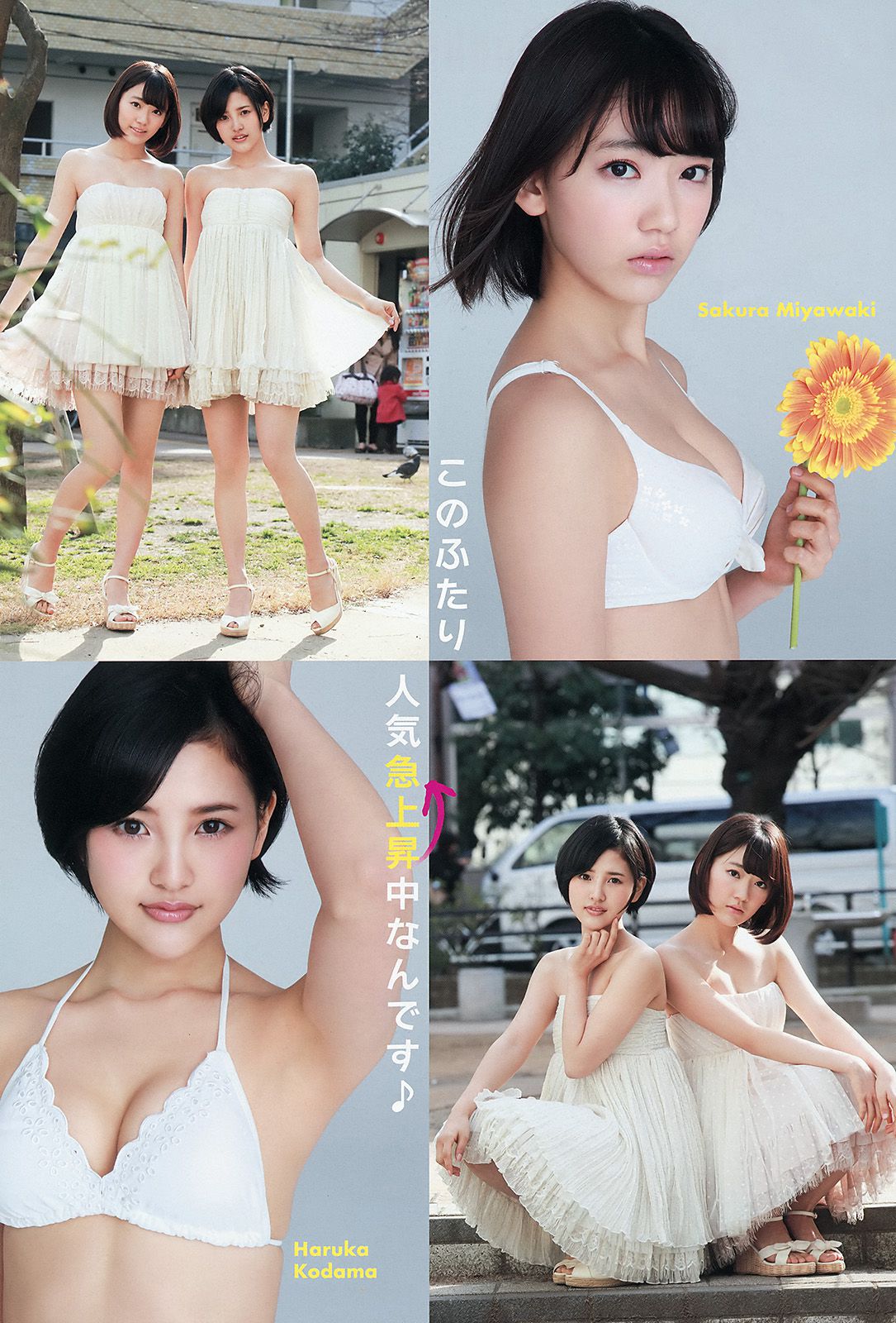 宮脇咲良 兒玉遥 朝長美桜 松岡菜摘 穴井千尋 [Young Animal] 2015年No.10 写真杂志/(15P)