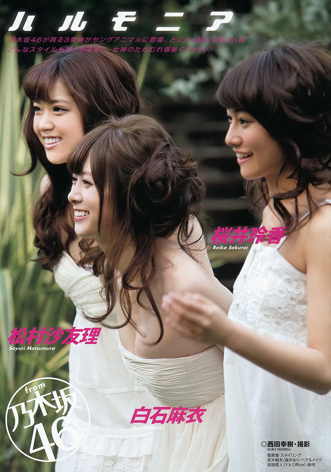 白石麻衣 桜井玲香 松村沙友理 須田亜香里 松村香織 [Young Animal] 2013年No.24 写真杂志/(21P)